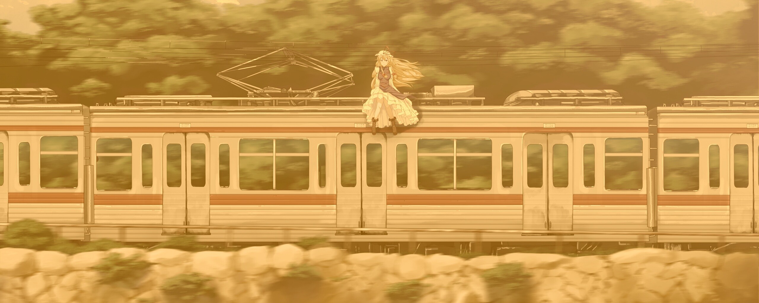 Девушка на крыше поезда обои