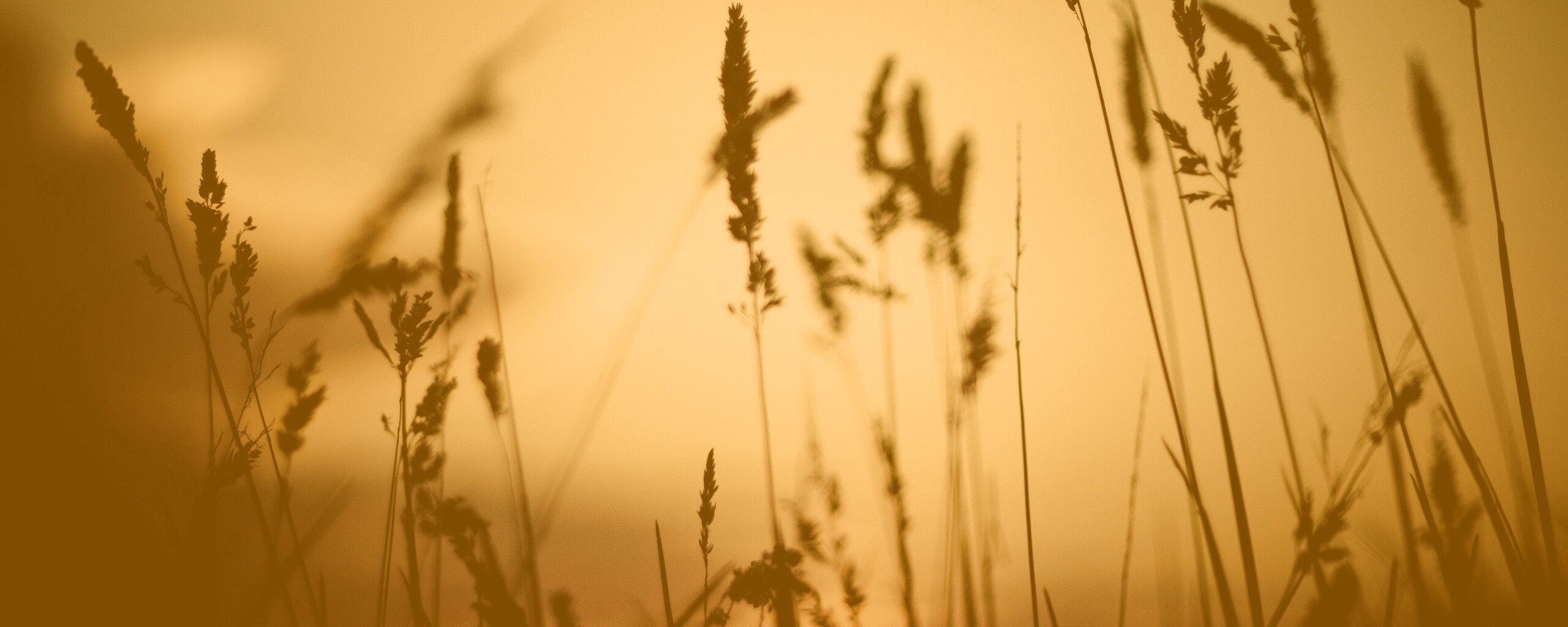 Дыхание природы обои