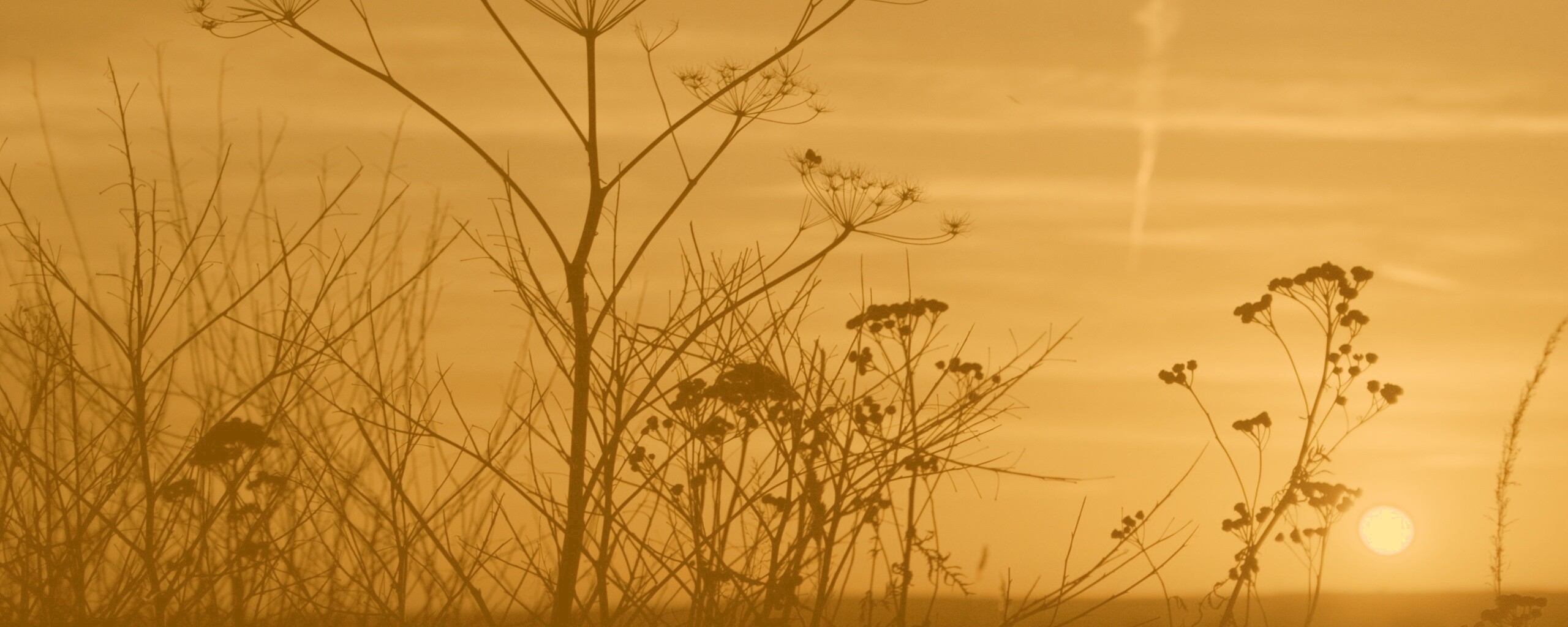 Степной закат обои