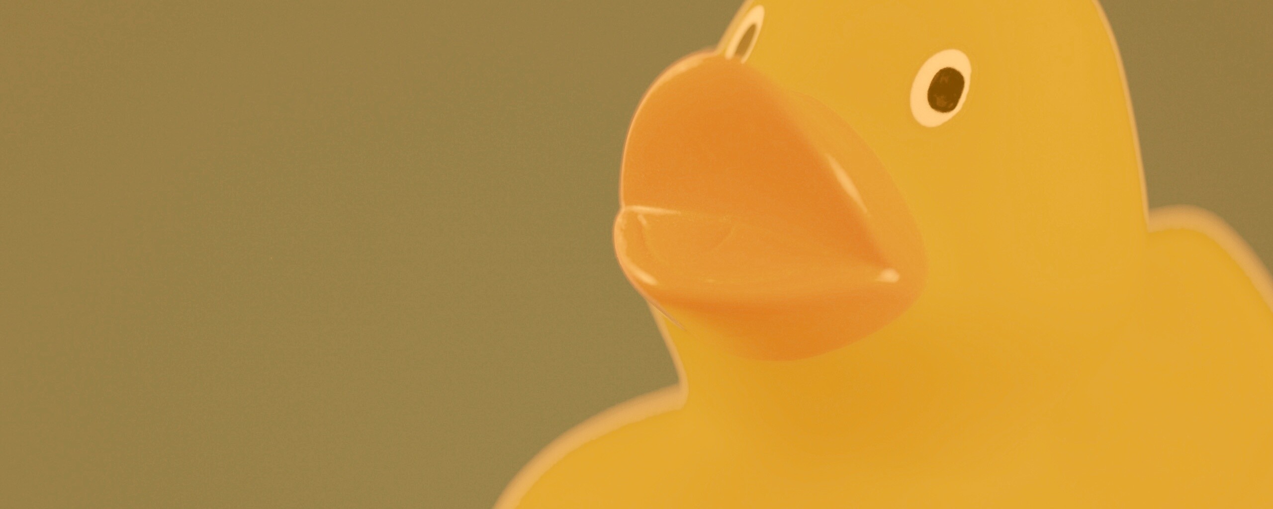 Резиновый утенок обои