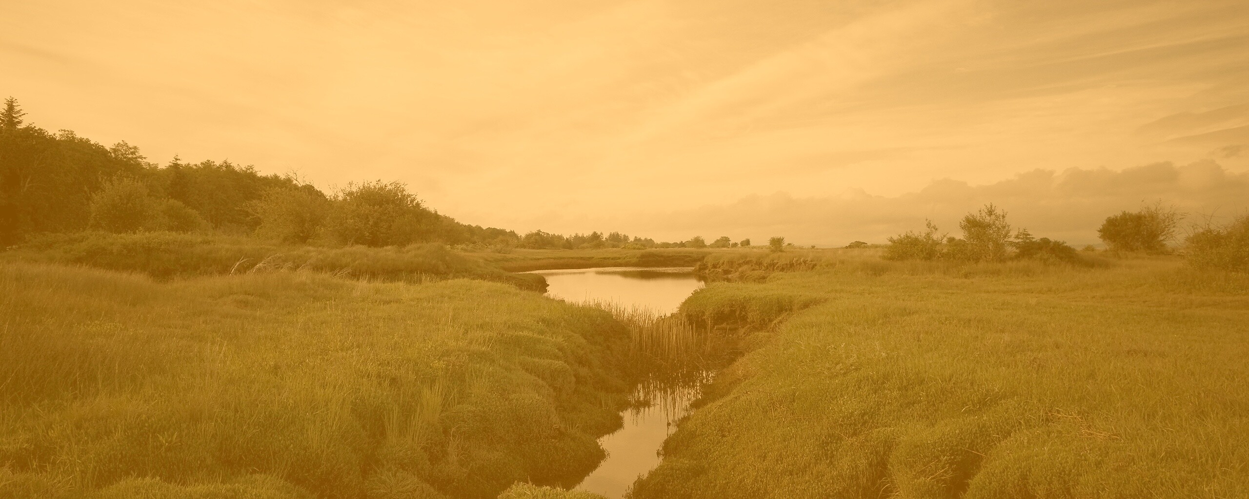 Канава и пруд обои