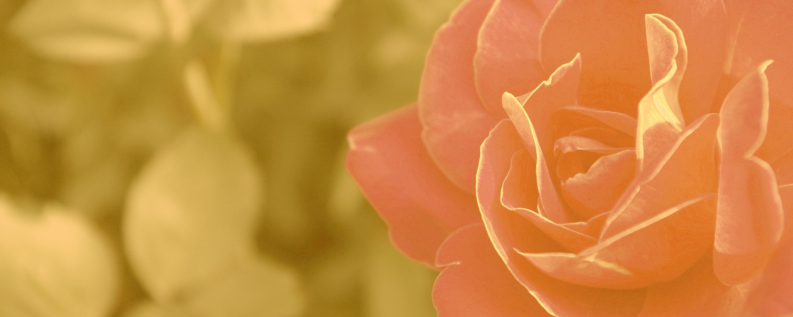 Для тебя обои