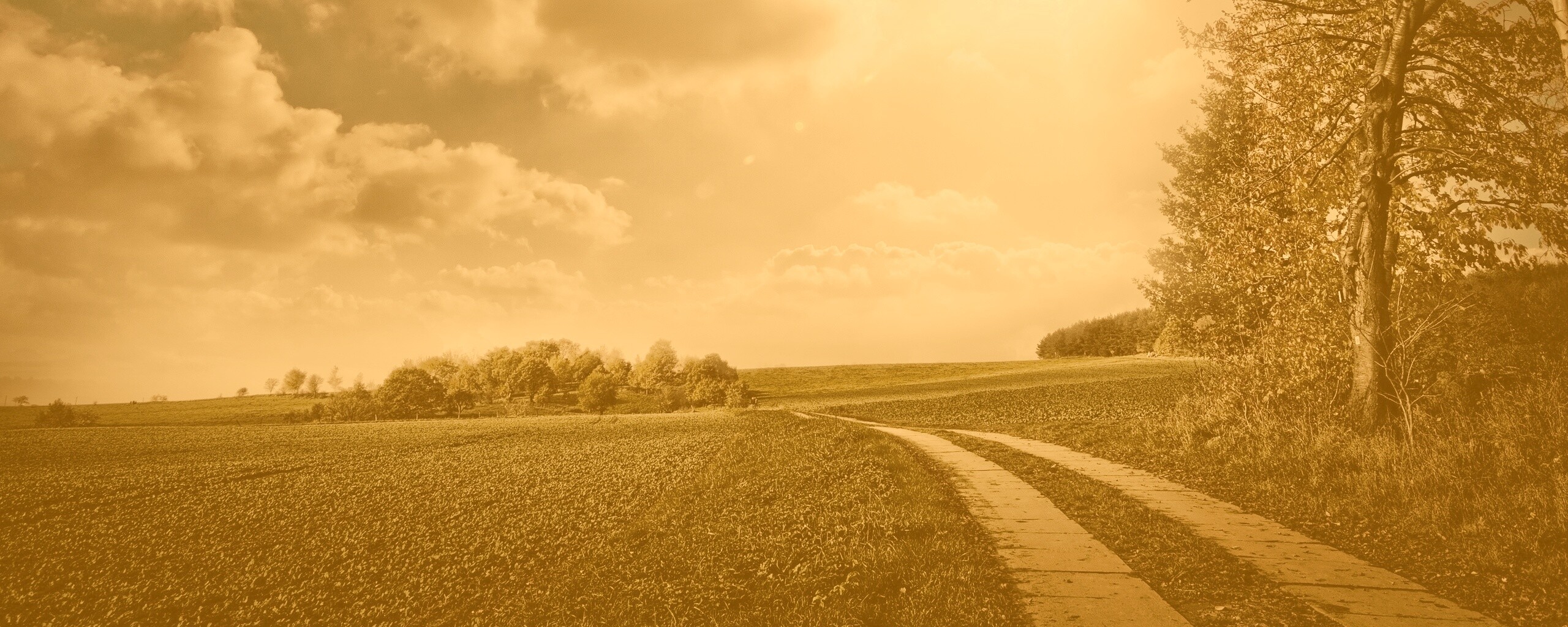 Солнечные холмы обои