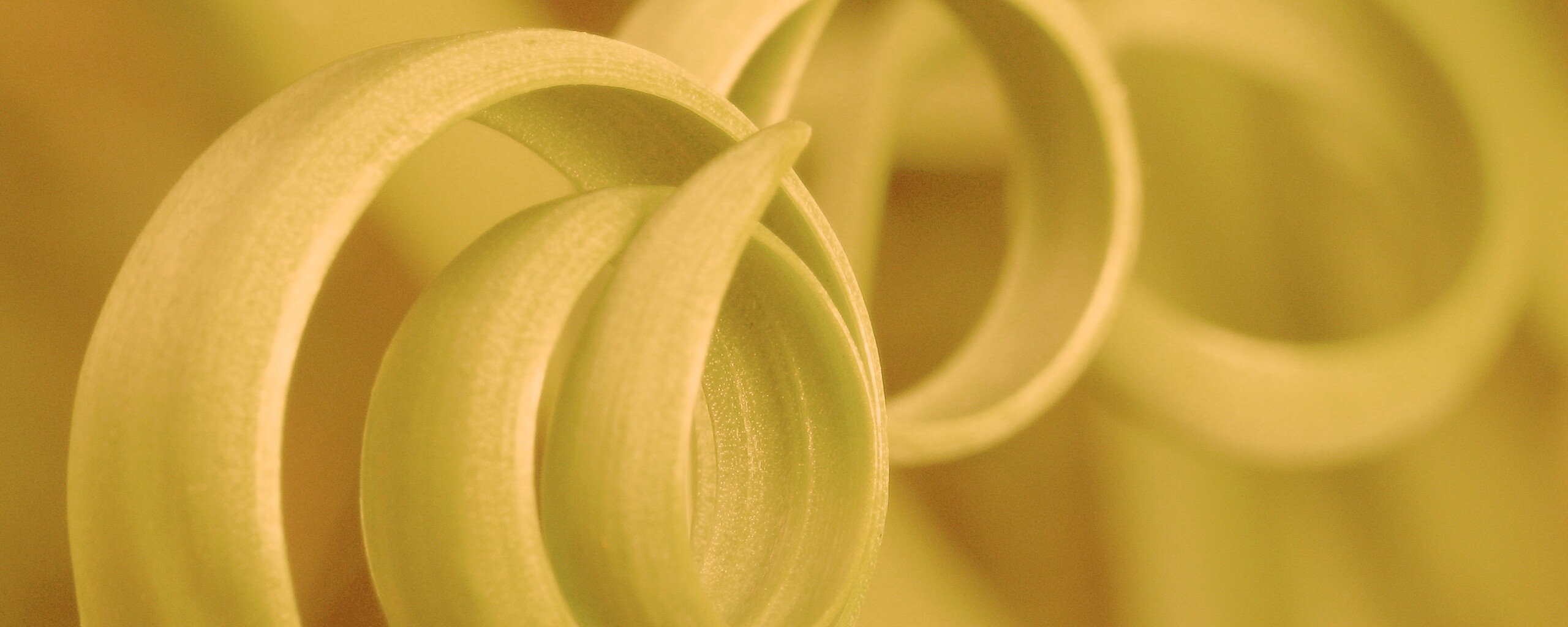 Зеленый обруч обои