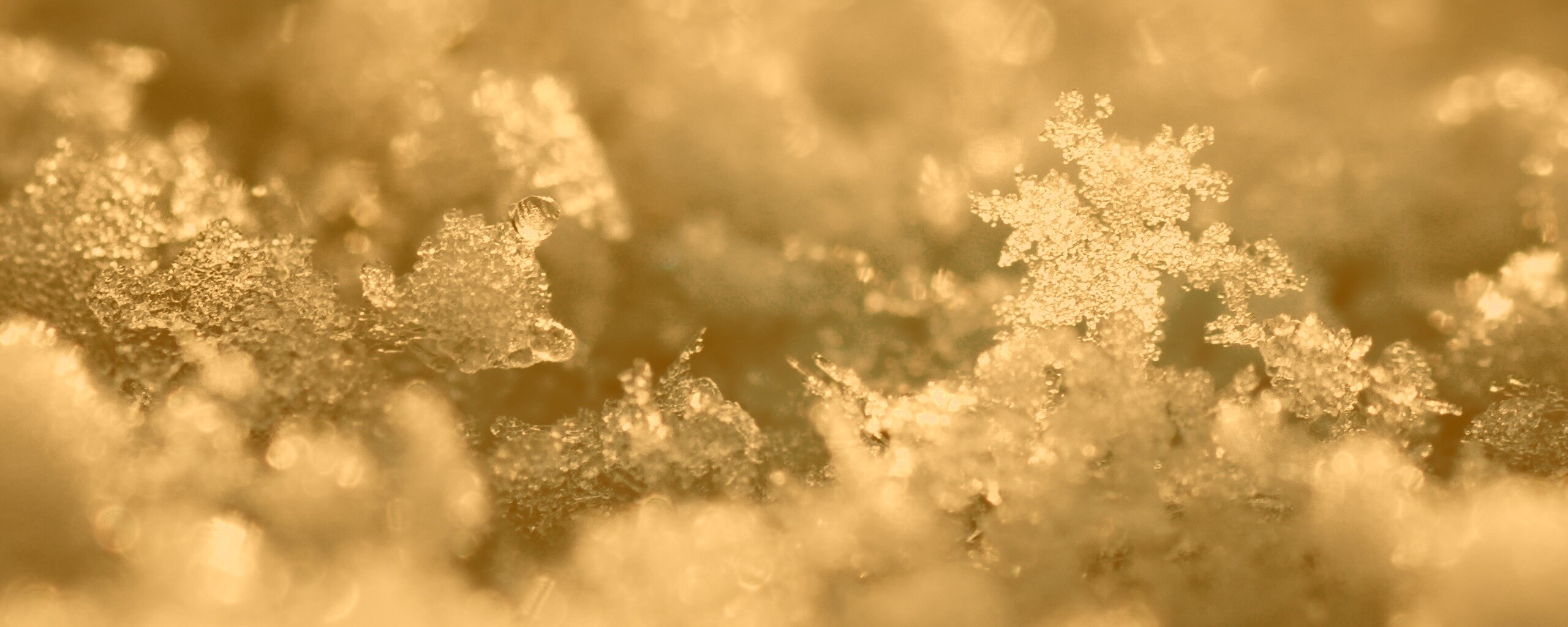 Макро фото снега обои