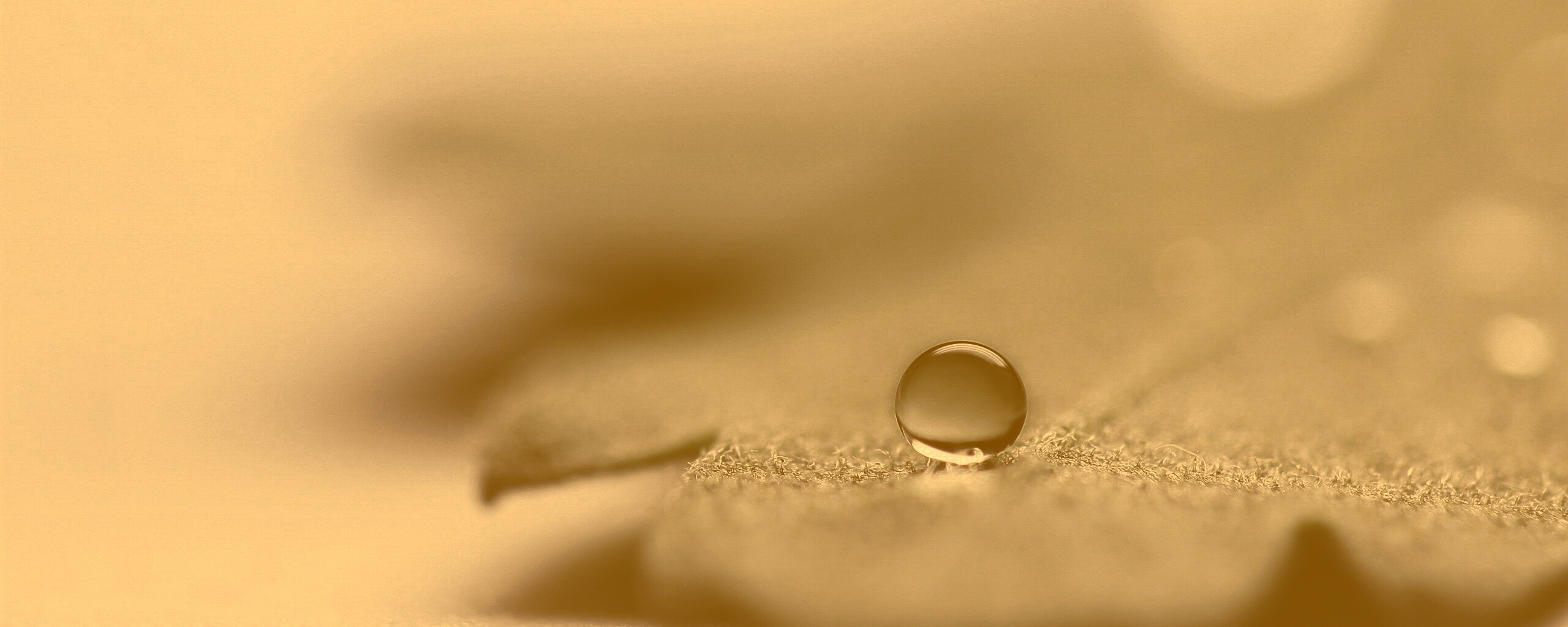 Капля на замёрзжем листе обои