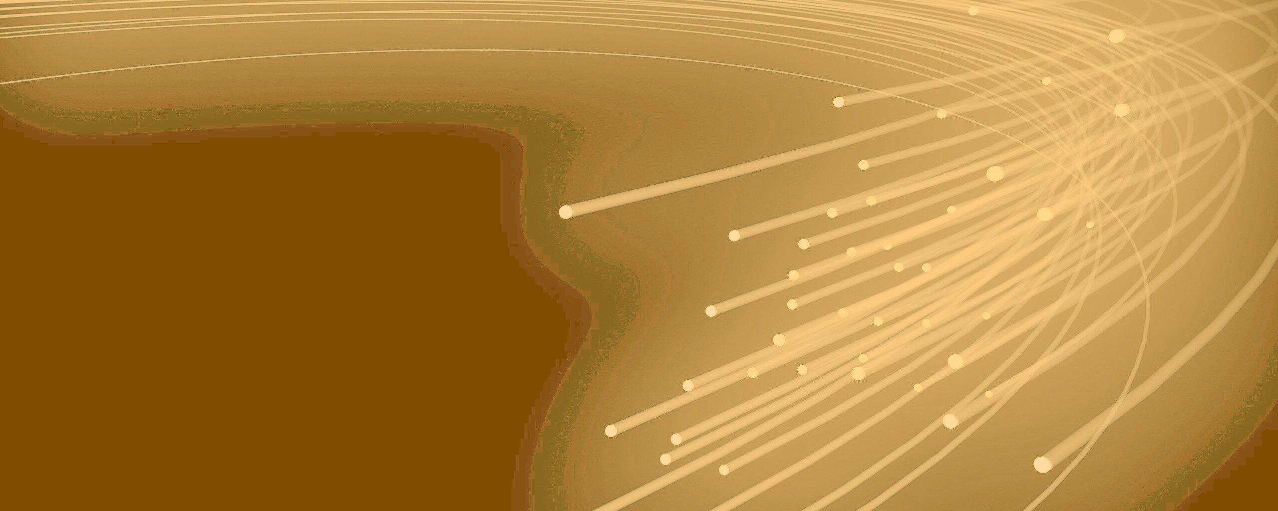 Оптоволокно обои