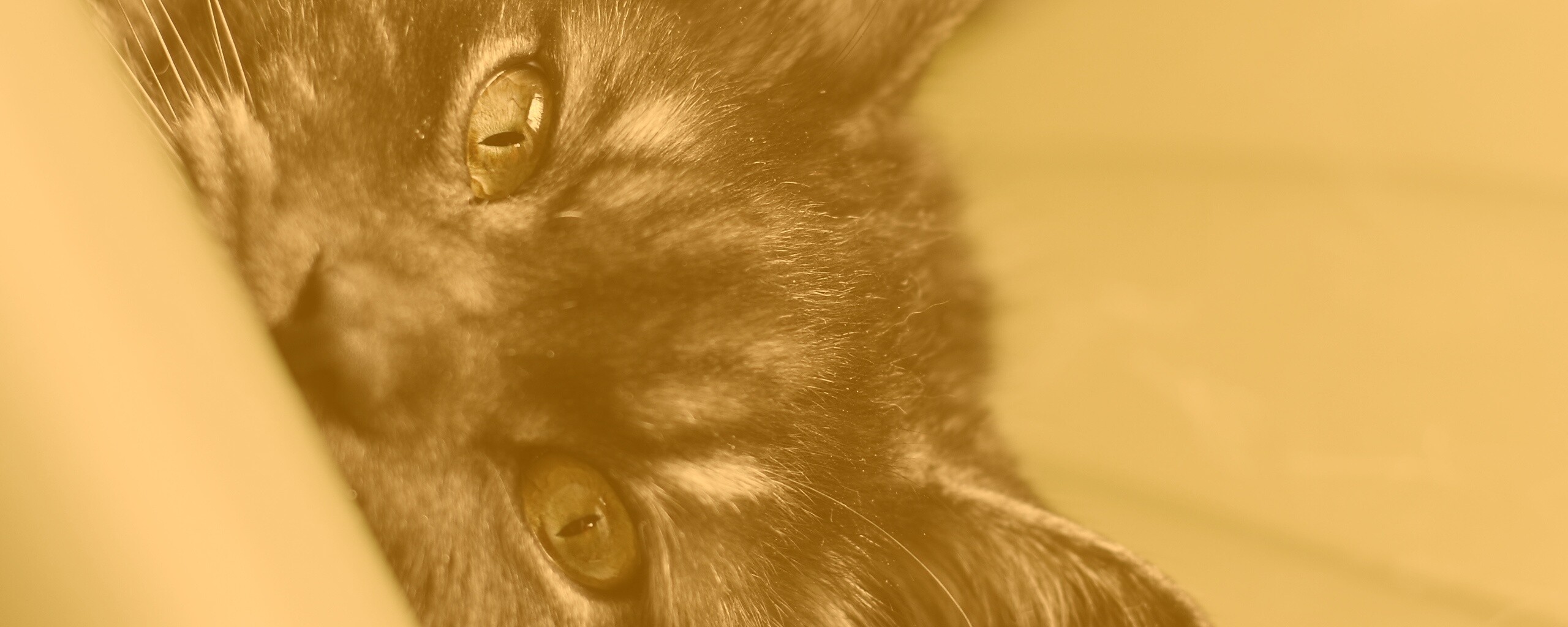 Глаза и уши обои