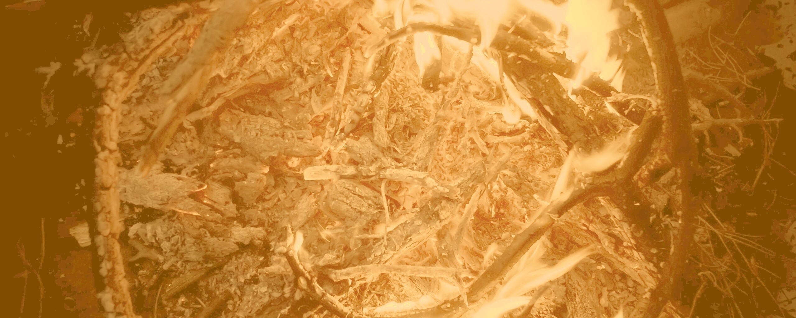 Костёр крупным планом обои