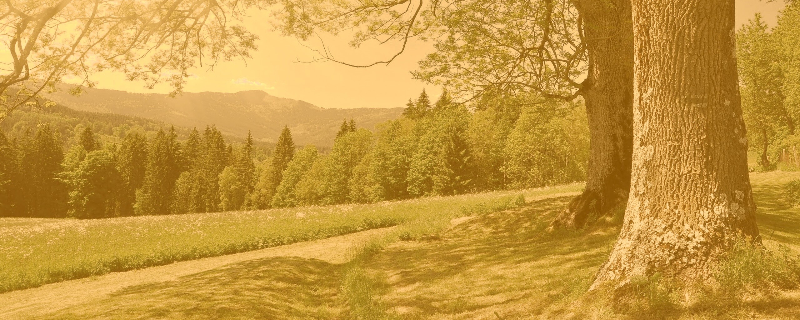 Лето в деревне обои