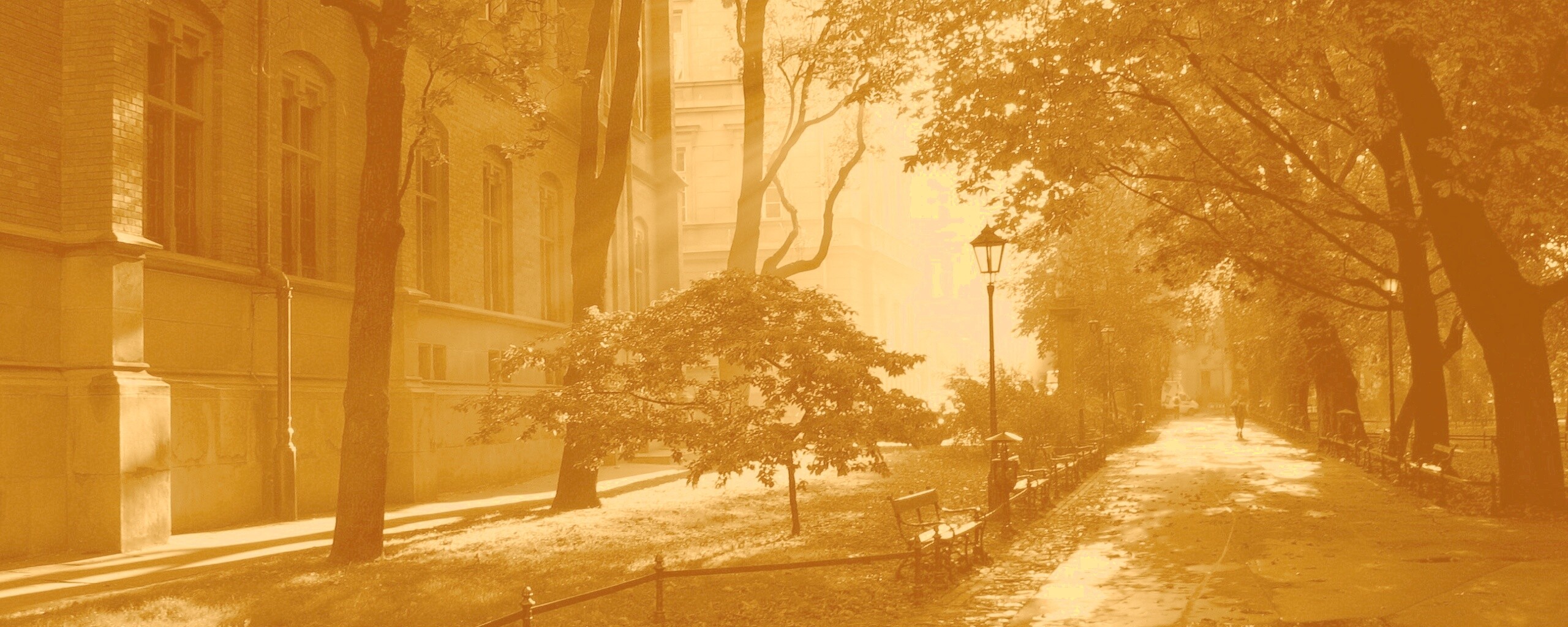 Аллея у здания обои