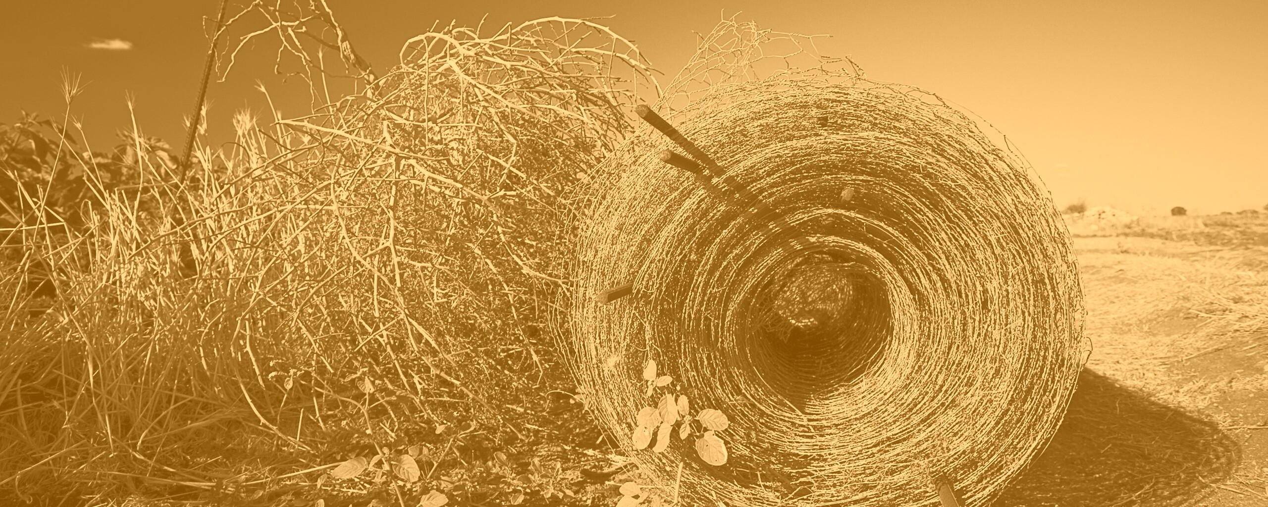 Клубок сена обои