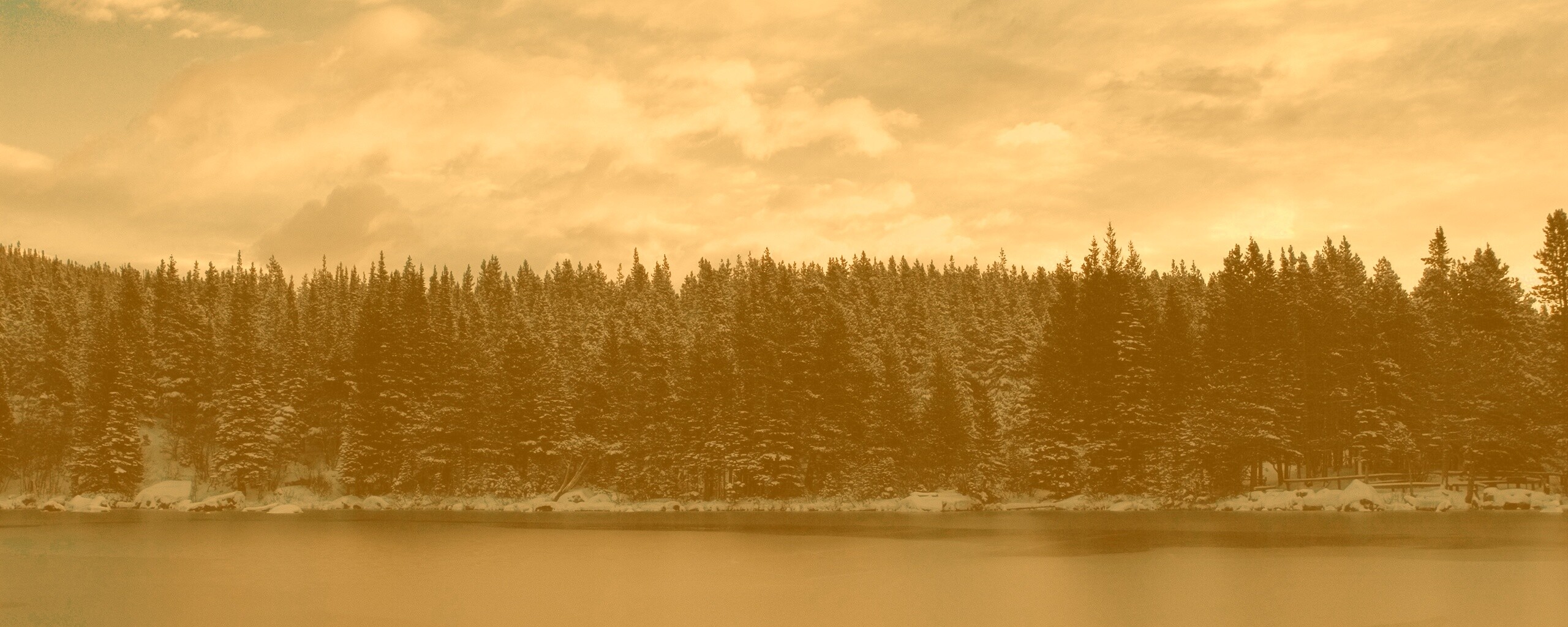 Лес на озере обои