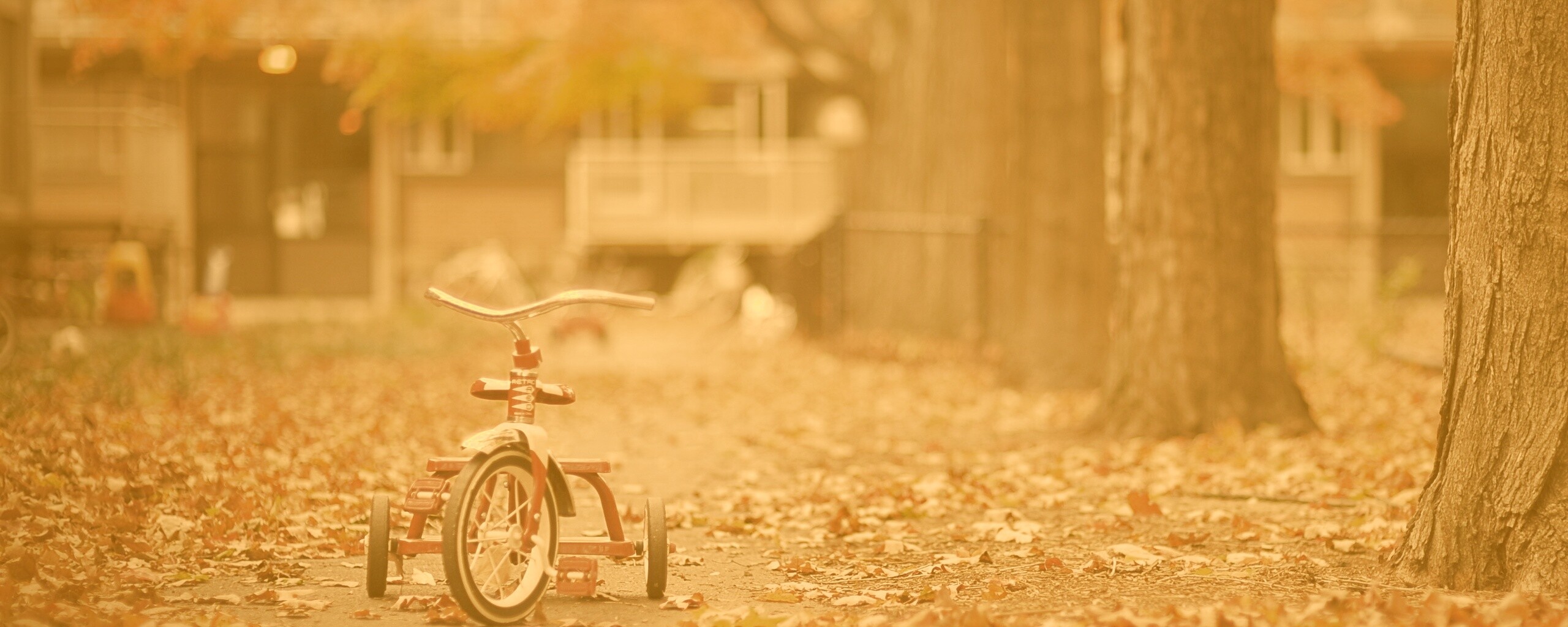 Трёхколёсный друг на осенней дорожке обои