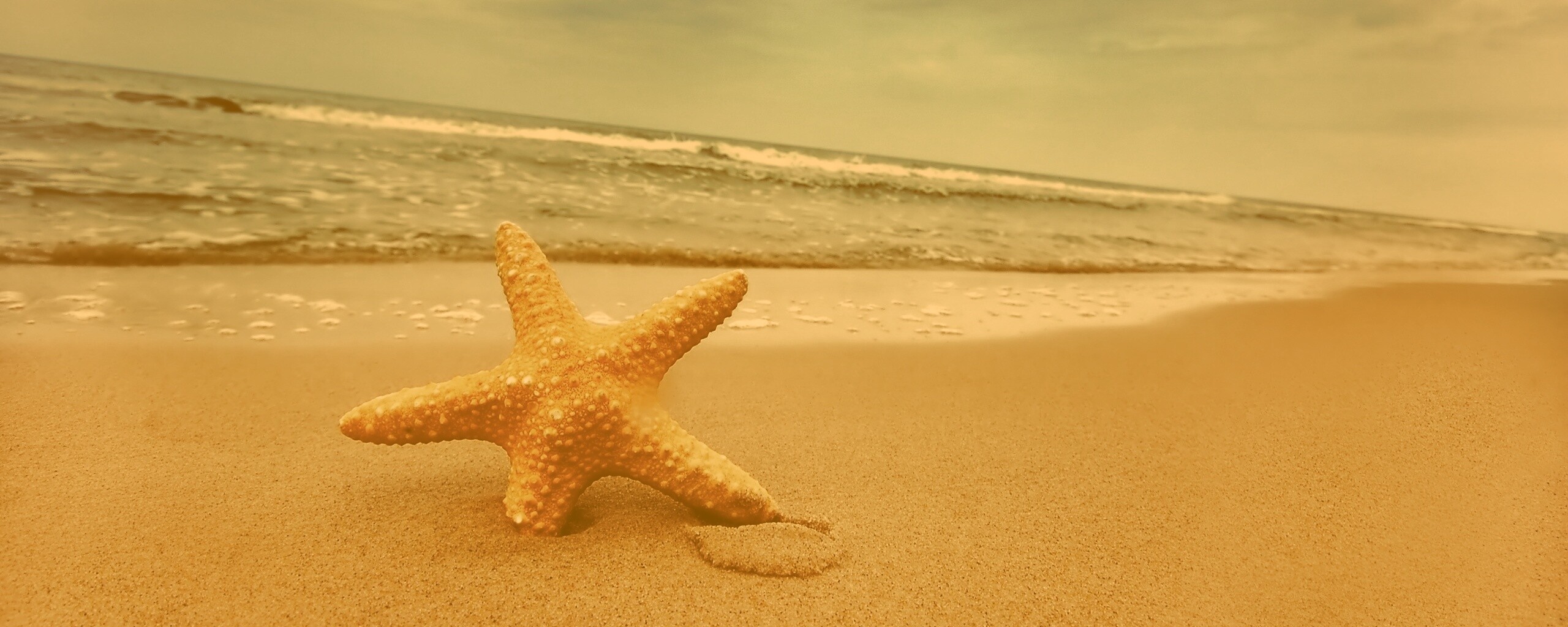 Морская звезда в песке обои