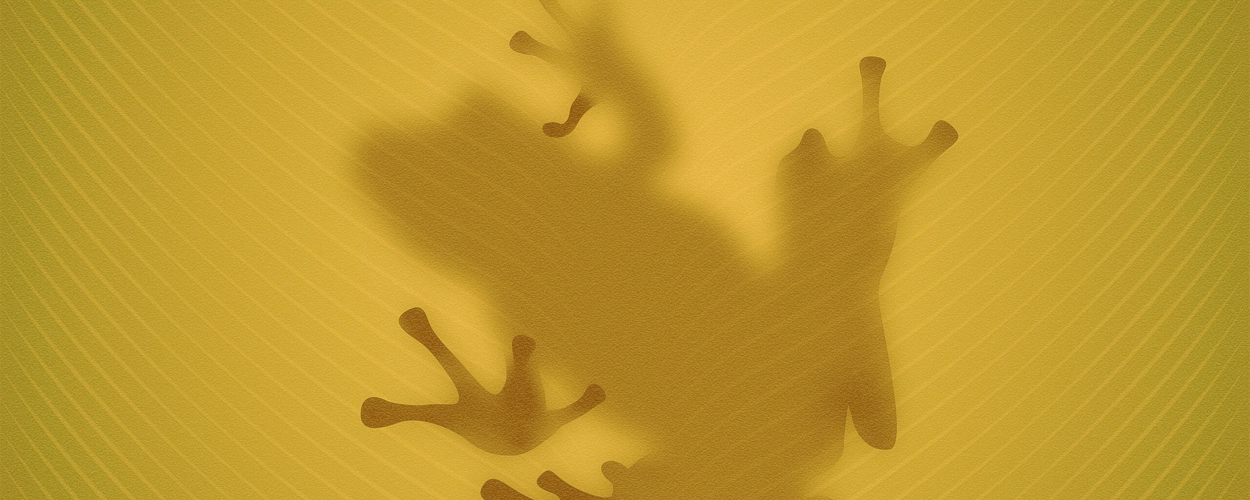 Силуэт лягушки просвечивает сквозь зеленый лист обои