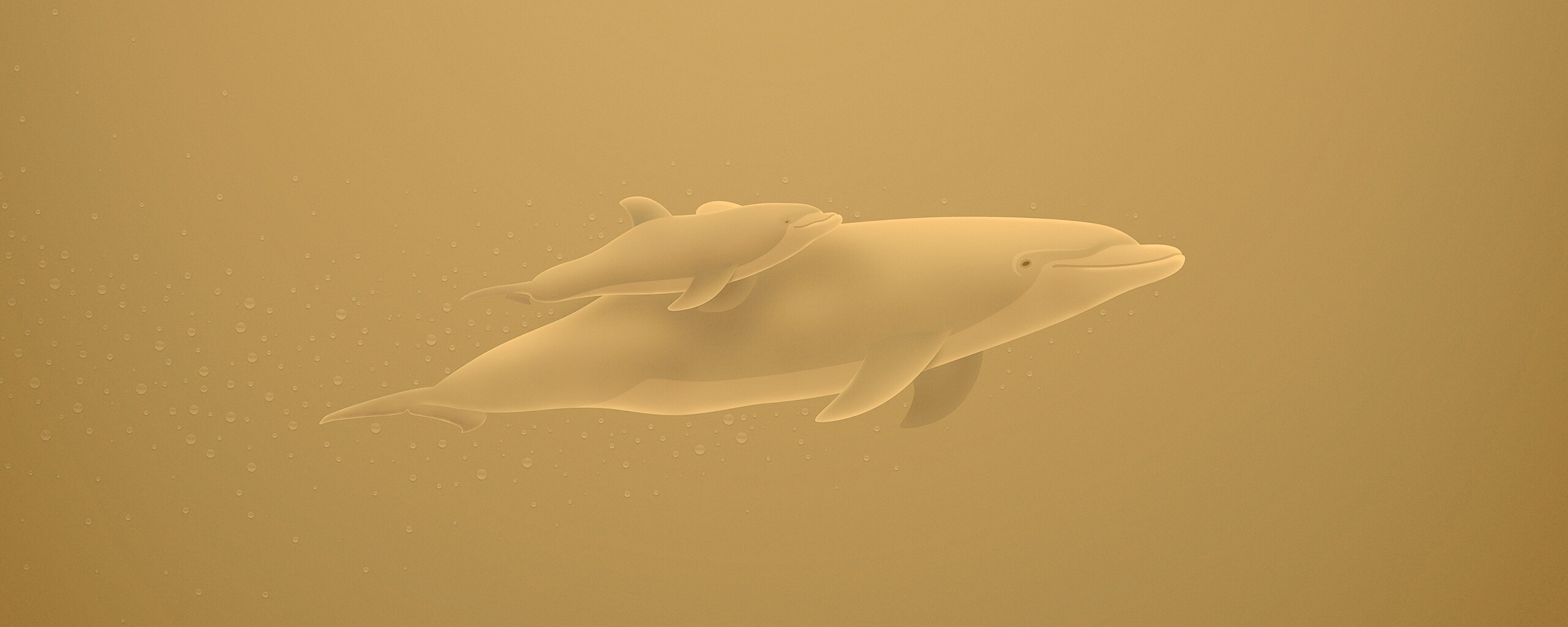 Дельфин и дельфиненок обои