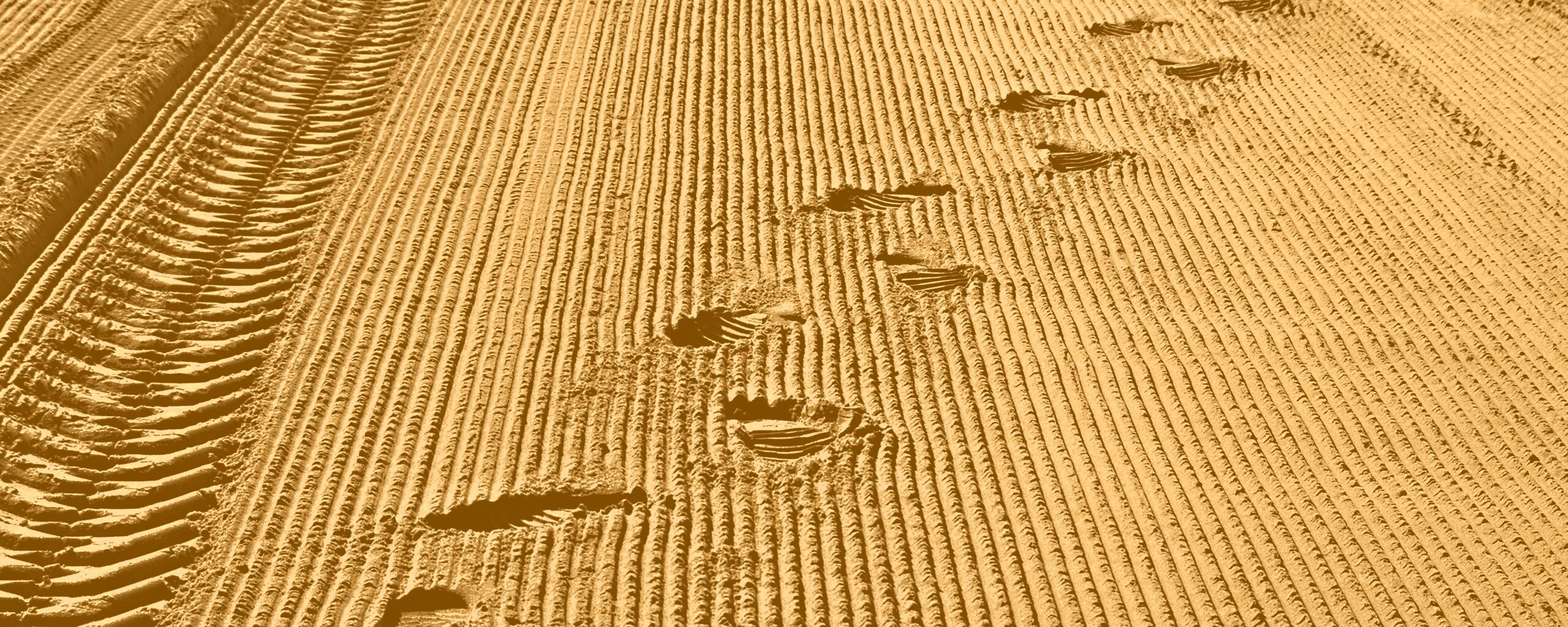 Следы на песке обои