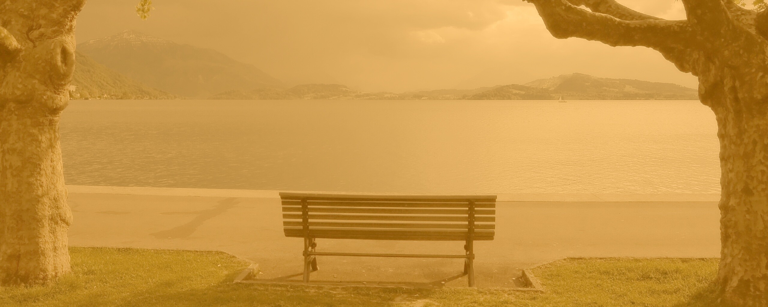Скамейка на берегу обои