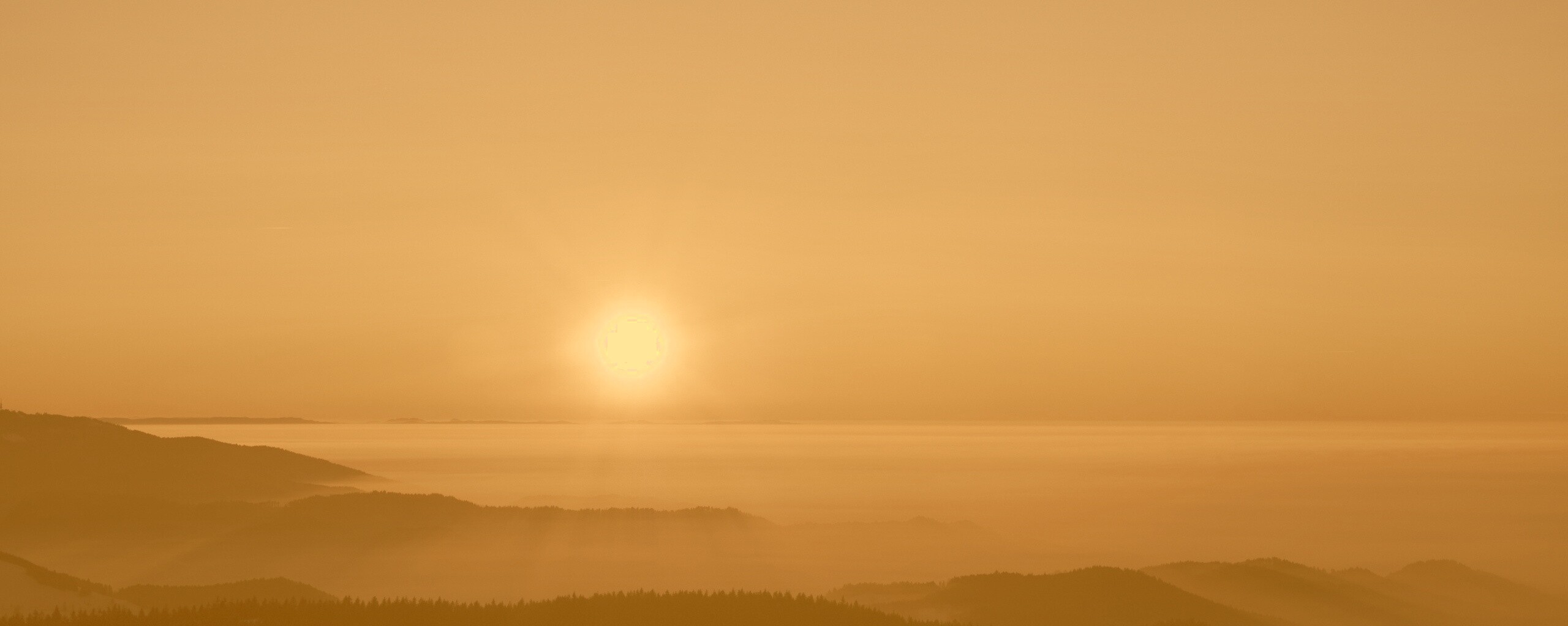 Восход солнца над лесом обои