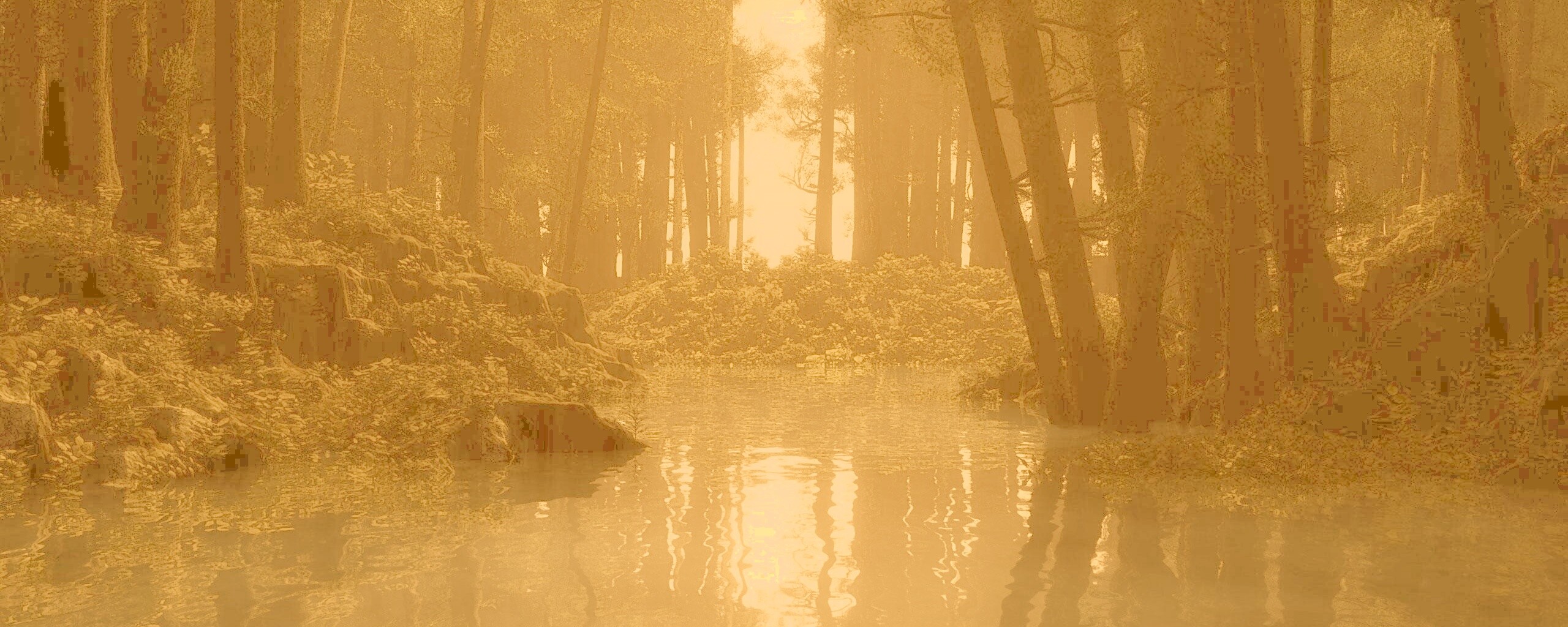 Болото в лесу обои