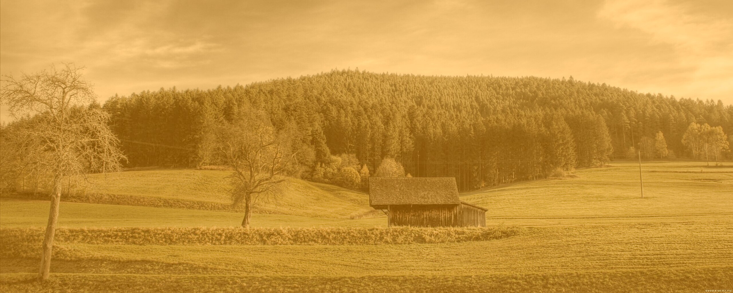 Домик в поле обои