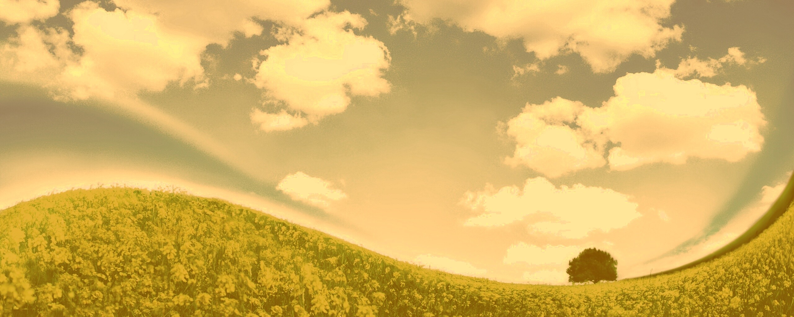 Искаженный мир обои