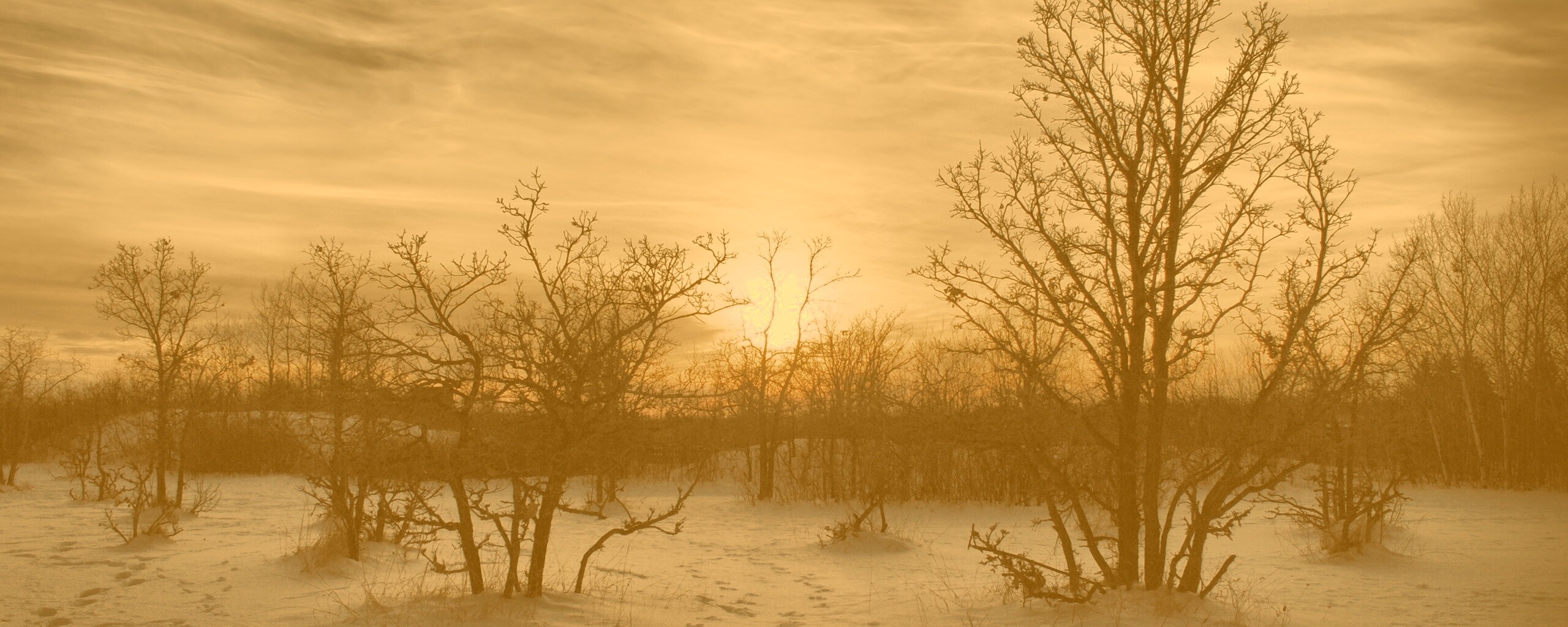 Закат в зимнем лесу обои