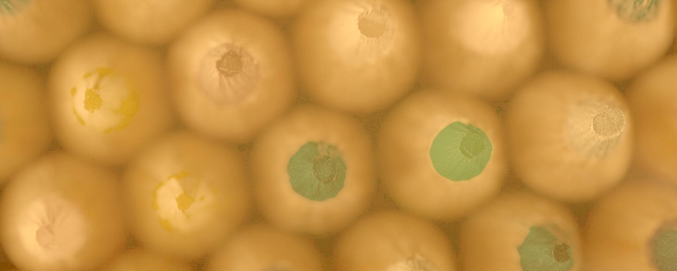 Карандаши обои