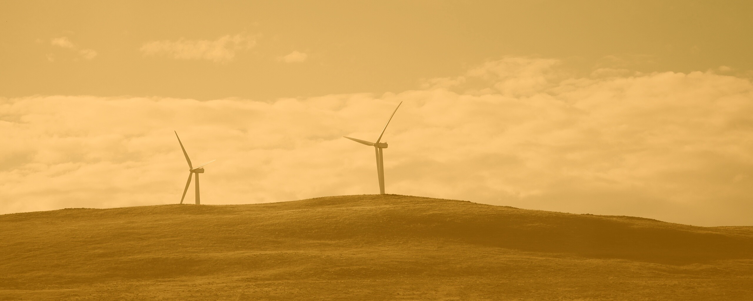 Ветряки в поле обои