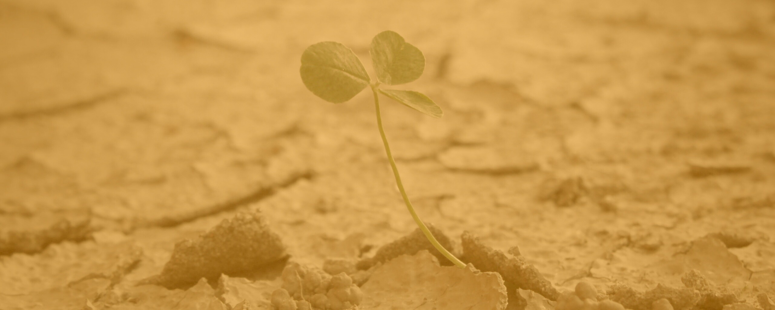 Сила природы обои