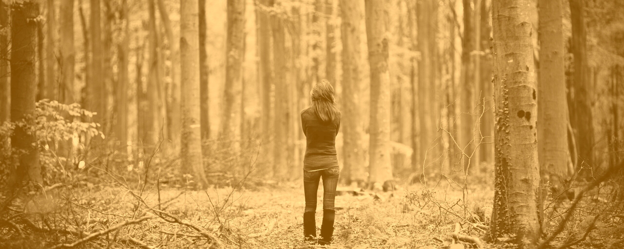 Одна в лесу обои