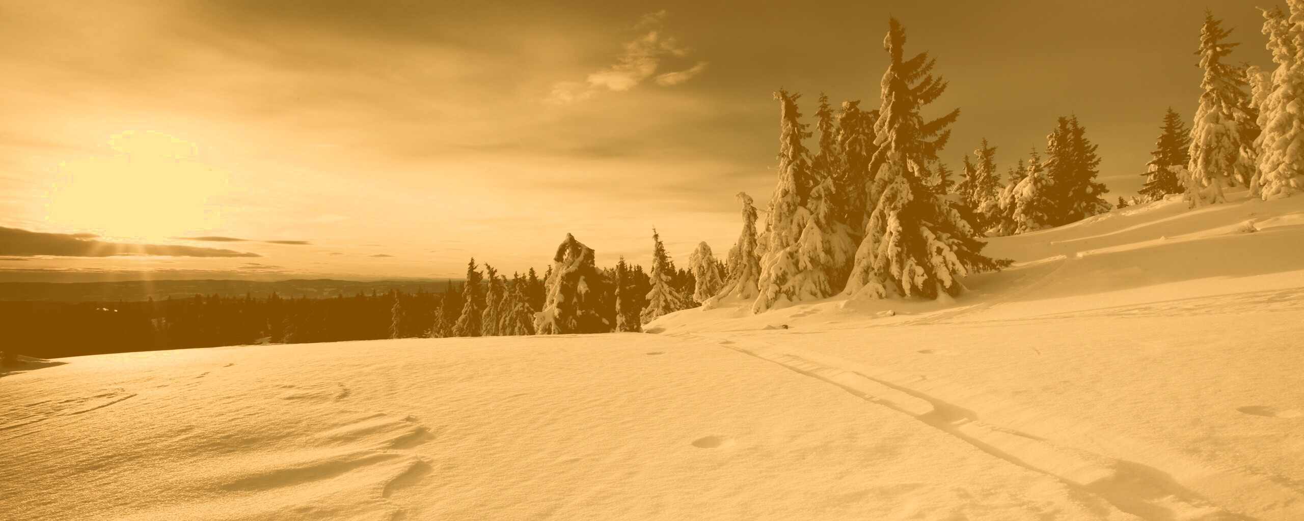 Зимние просторы обои