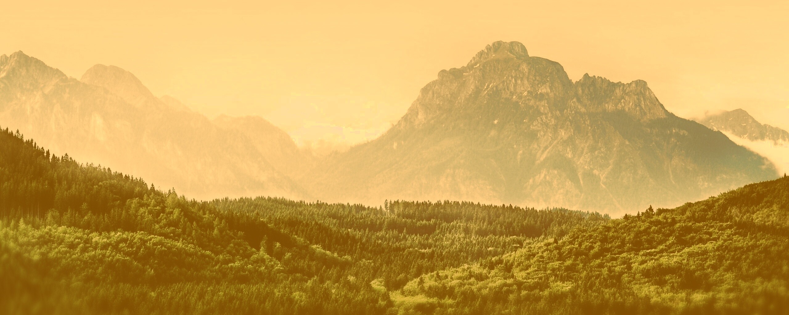 Пейзаж обои