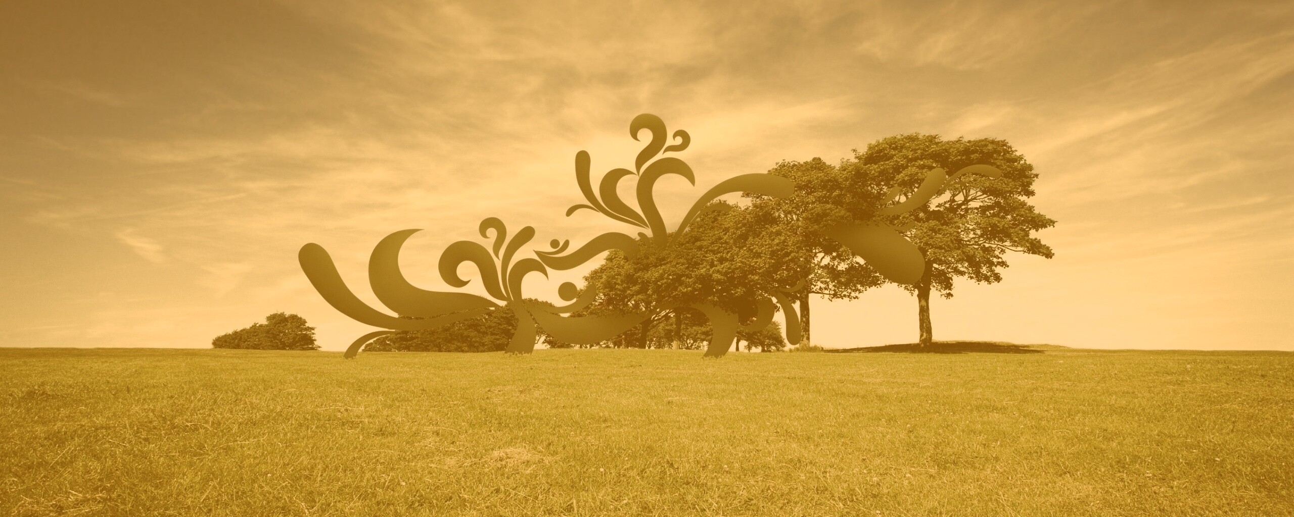 На равнине обои