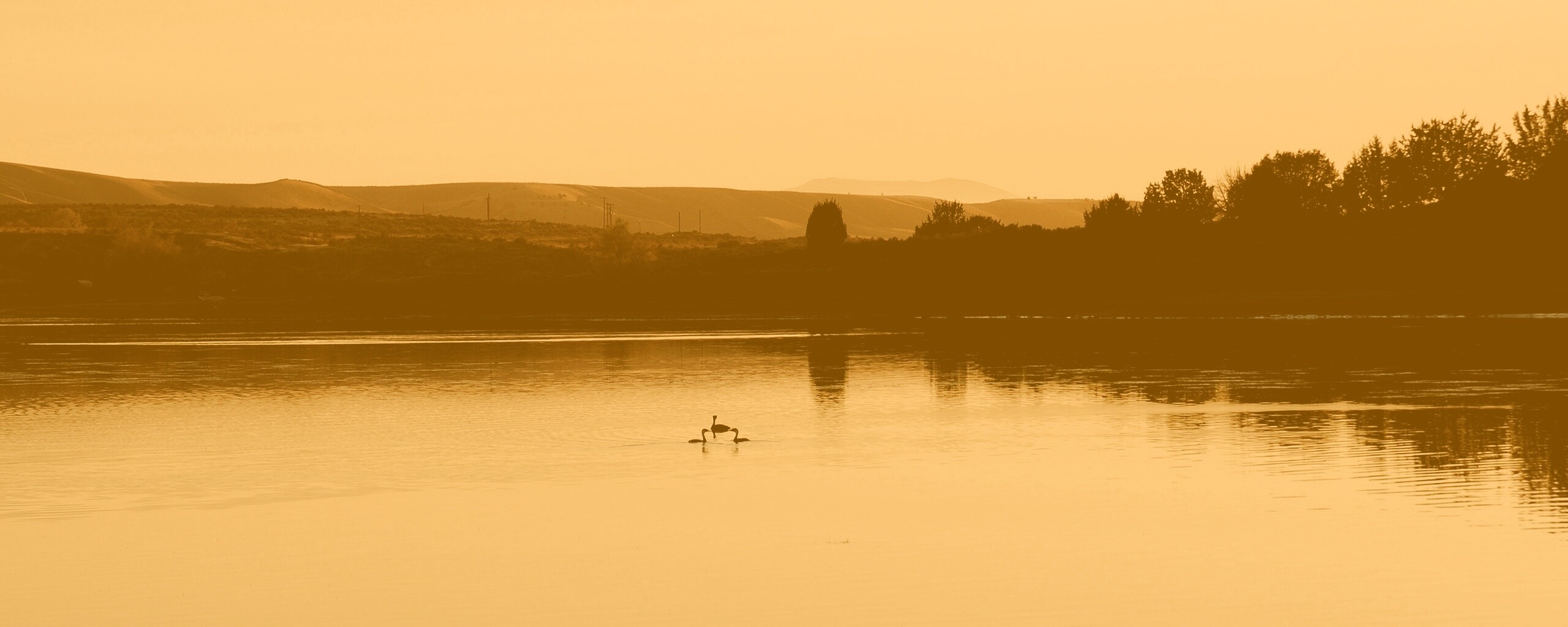 Утиное озеро обои