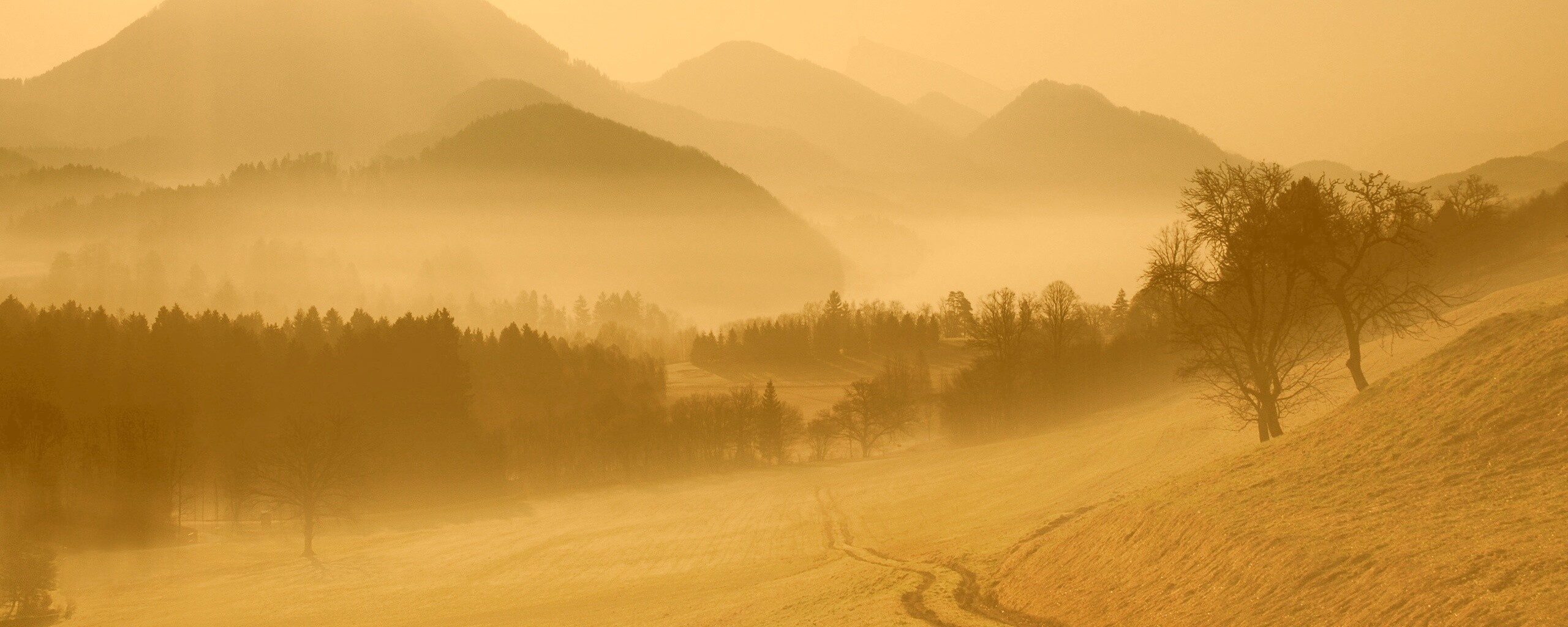 Дорога в туманную долину обои