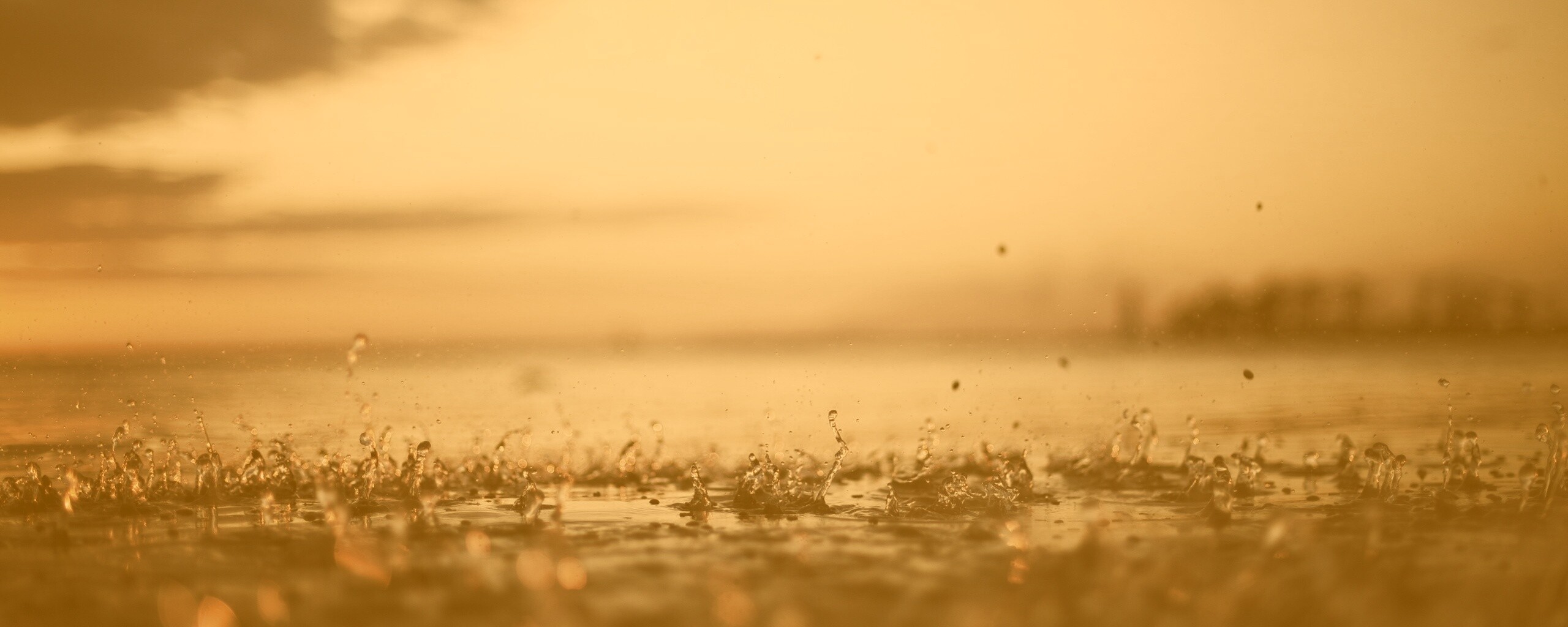 Дождь в макро обои