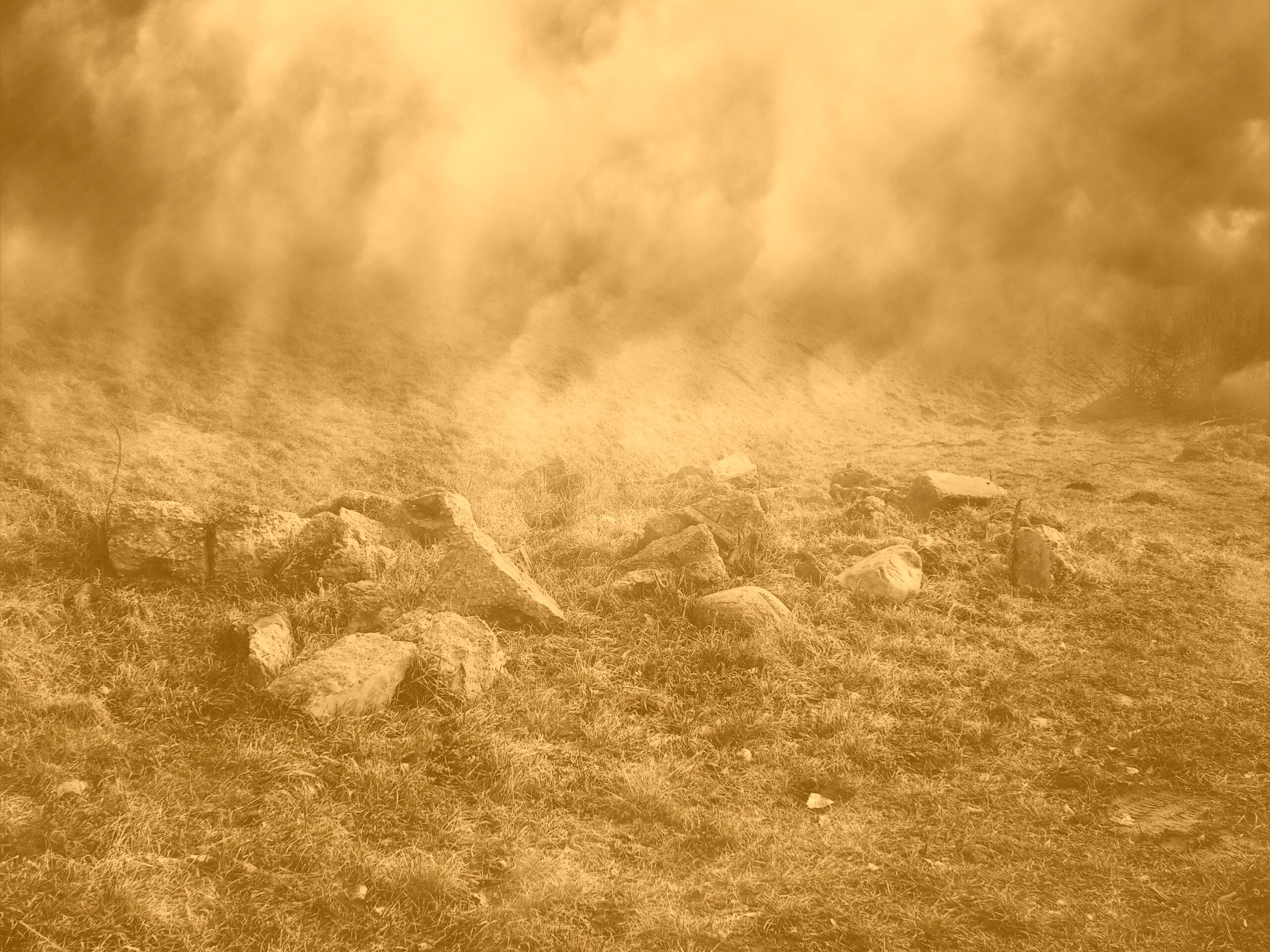 Туман на склоне обои