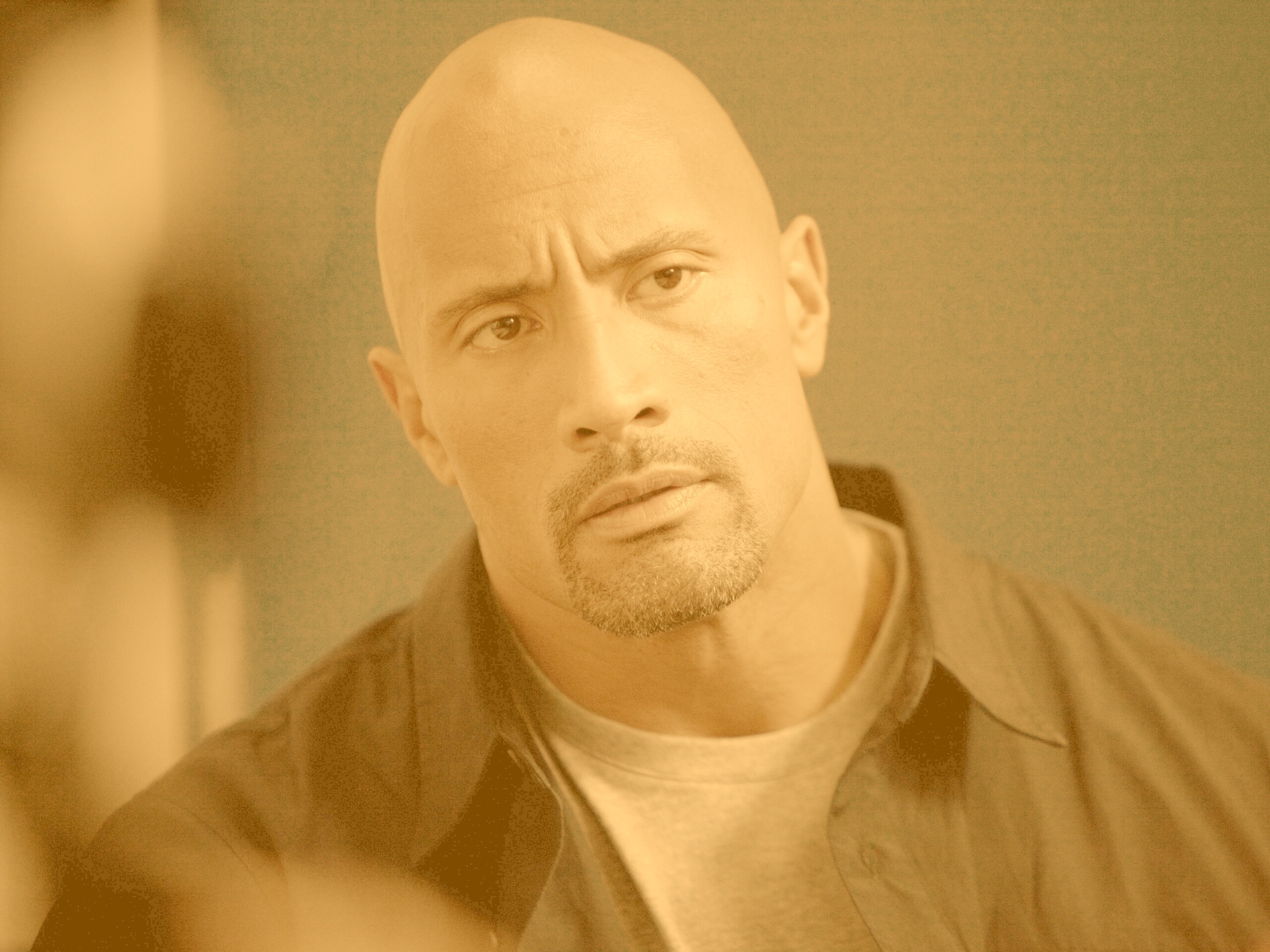 Dwayne johnson, Actor, Bald, Hair, Celebrity обои