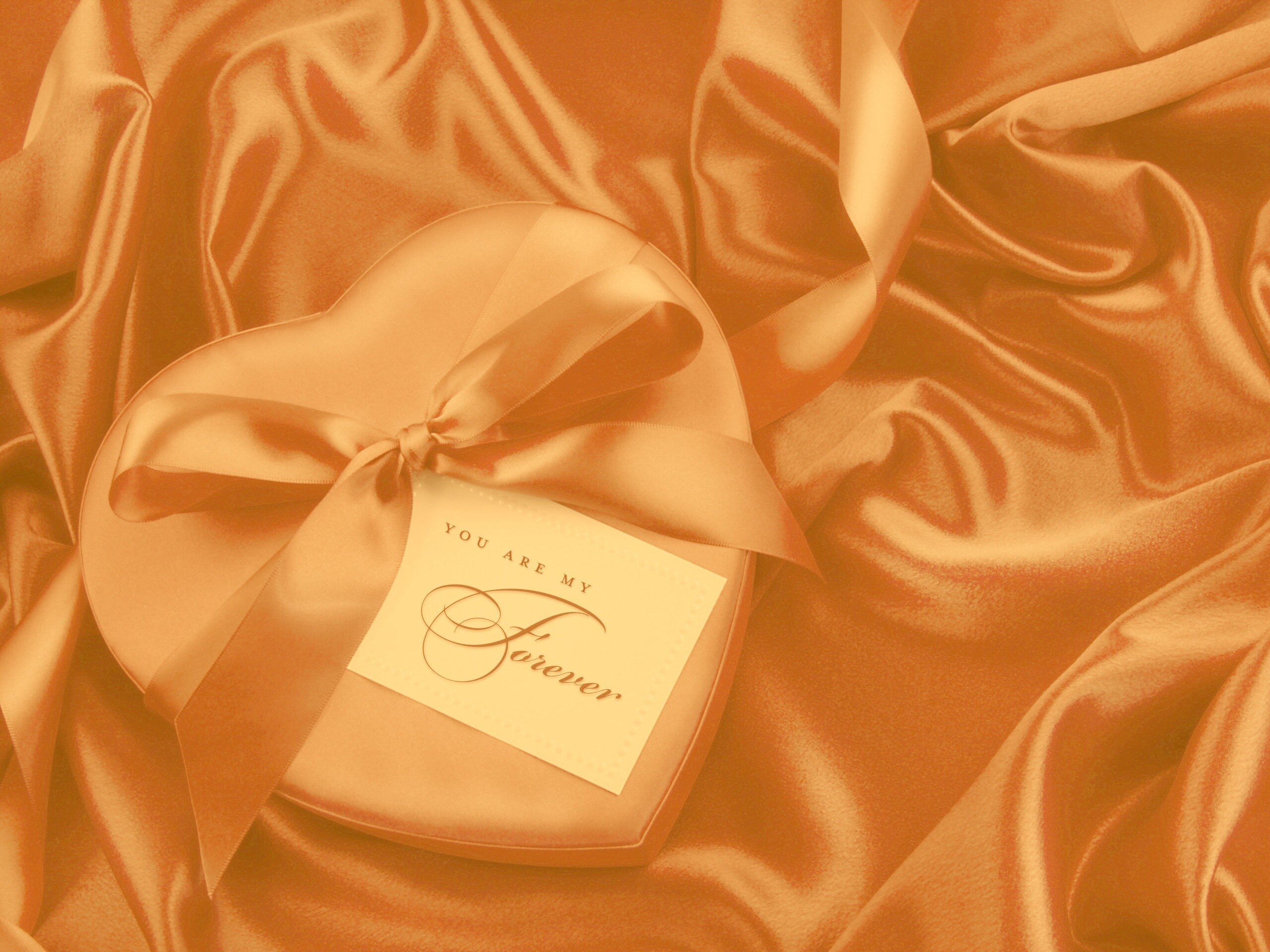 Ты — моя на вечно обои