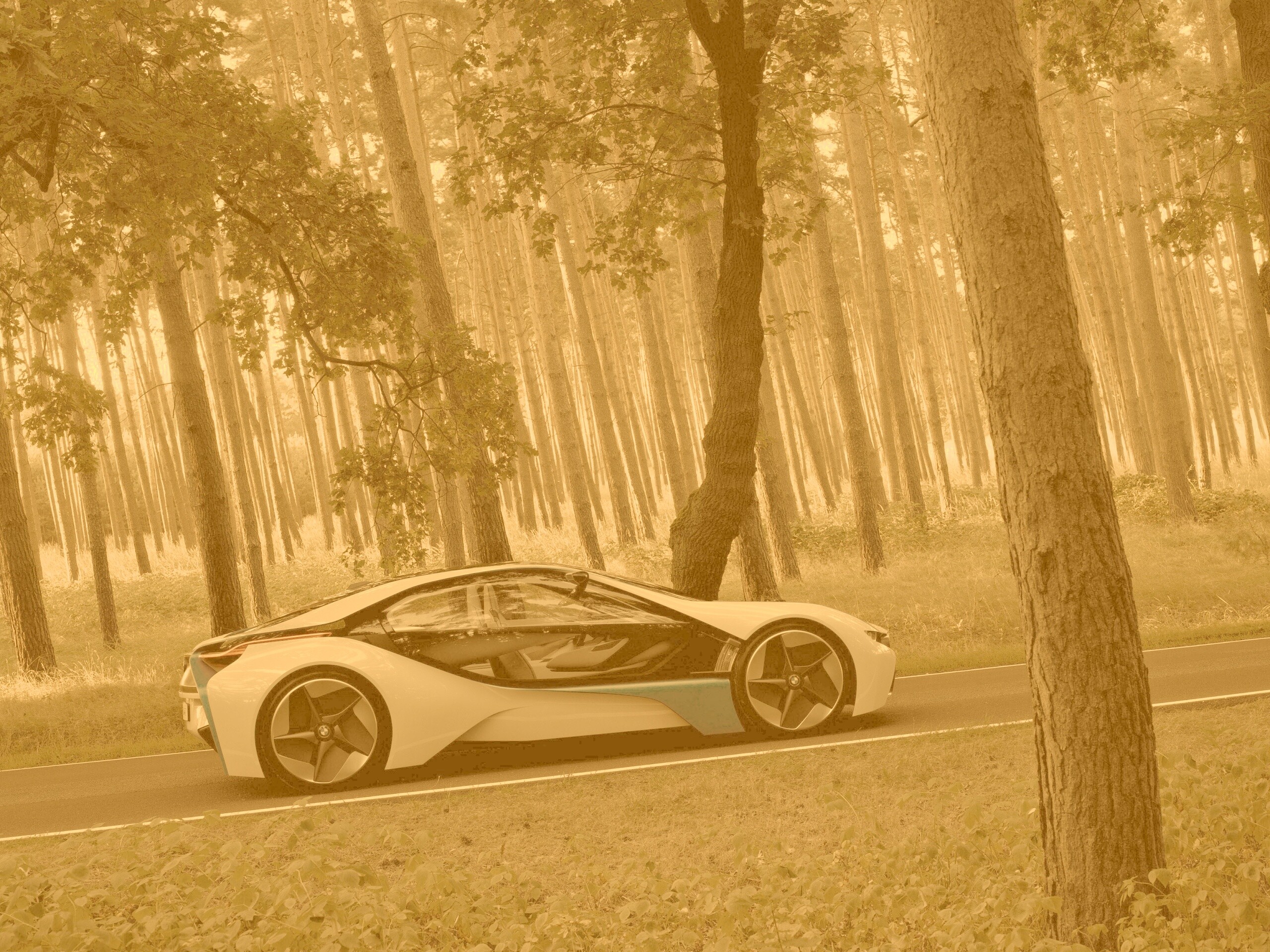 Спорткар BMW на лесной дороге обои