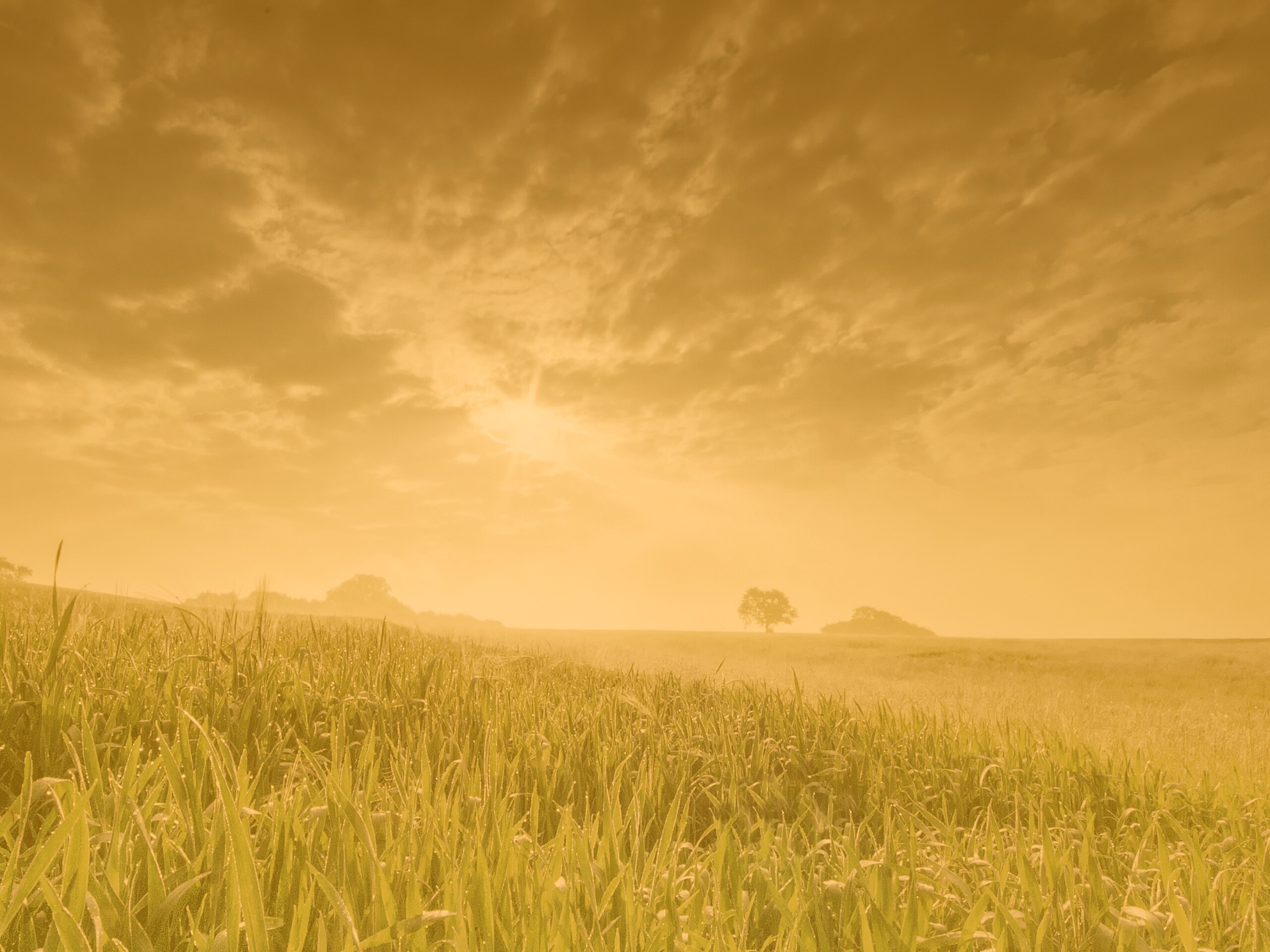 Безмятежность обои