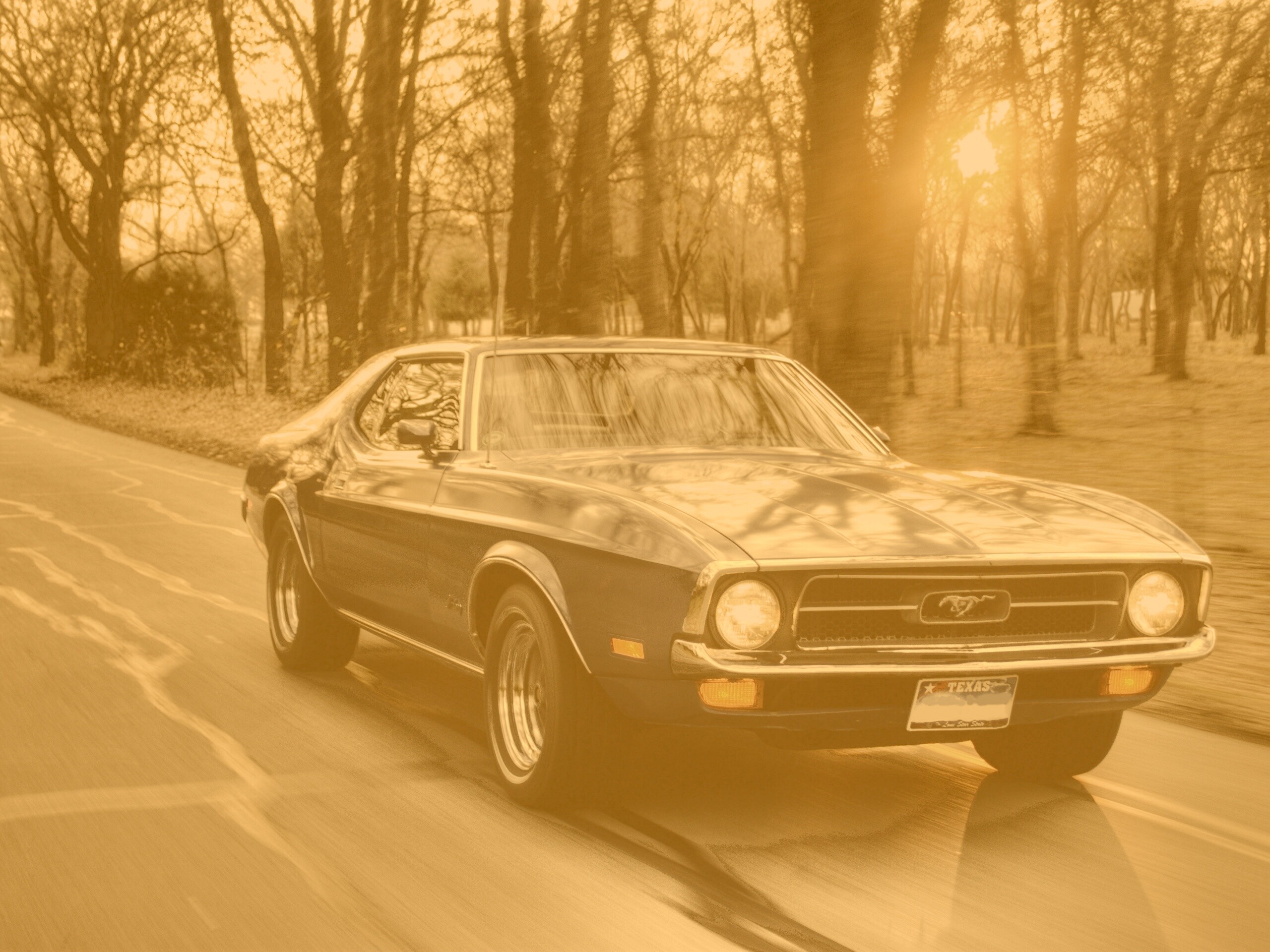 Мустанг обои