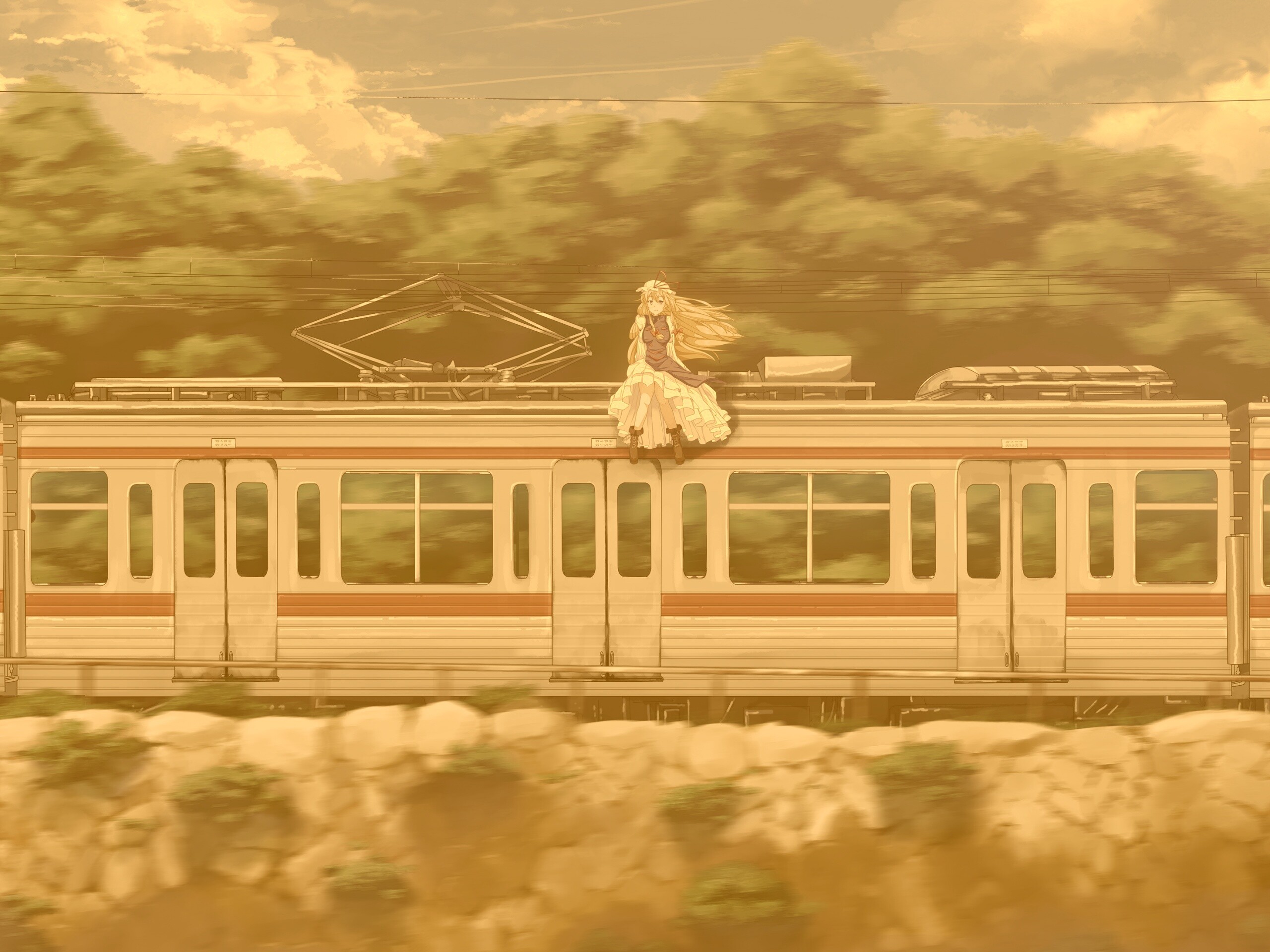 Девушка на крыше поезда обои