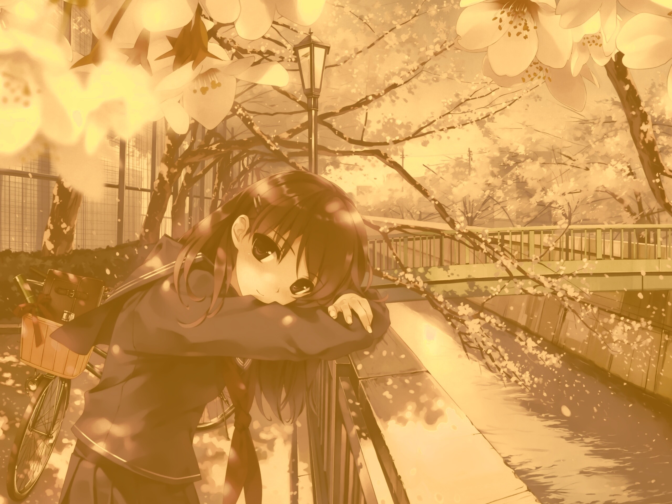 Девушка среди лепестков сакуры обои