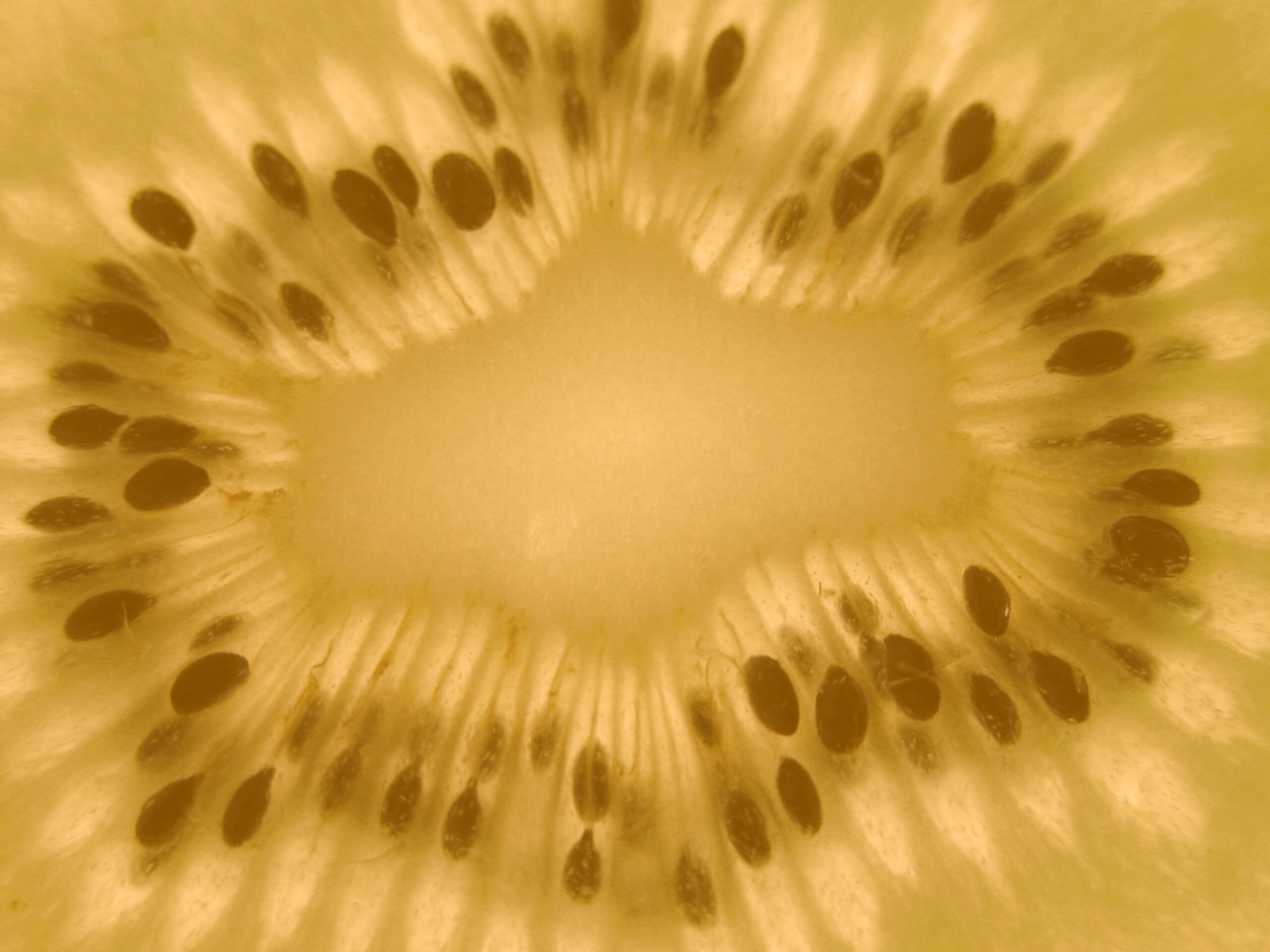 Макро фото киви в разрезе обои