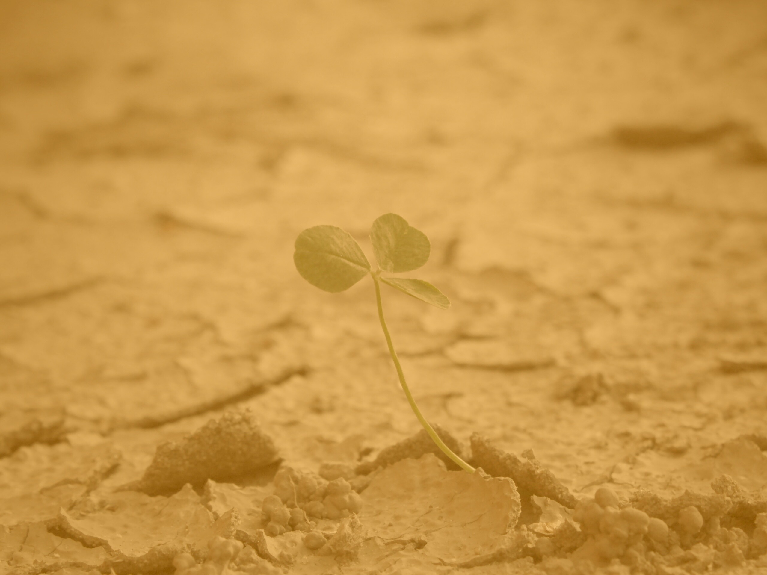 Сила природы обои