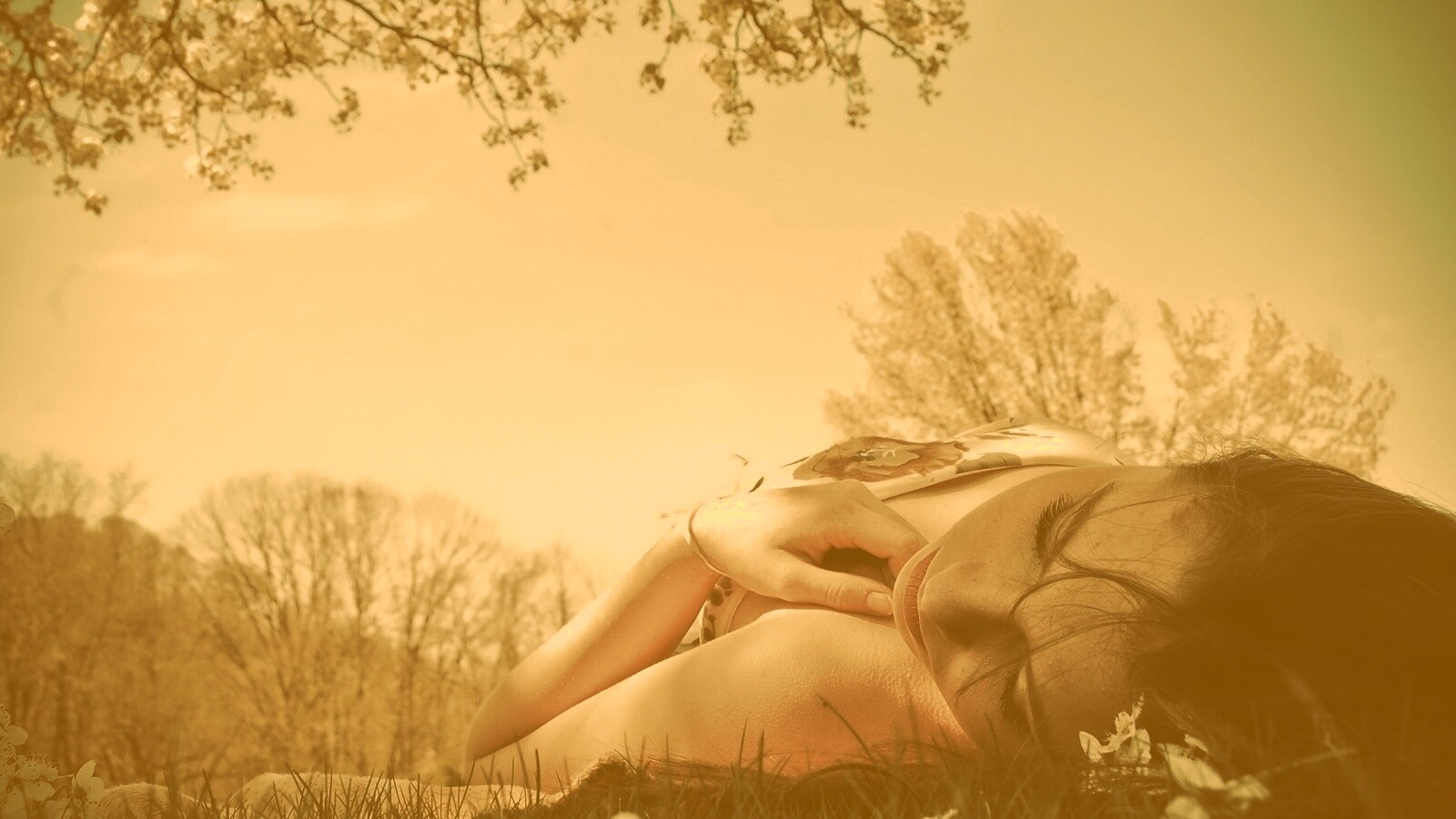 На природе обои