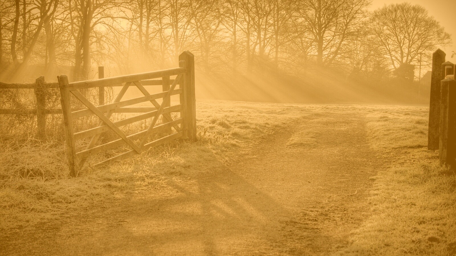 Открытые ворота обои